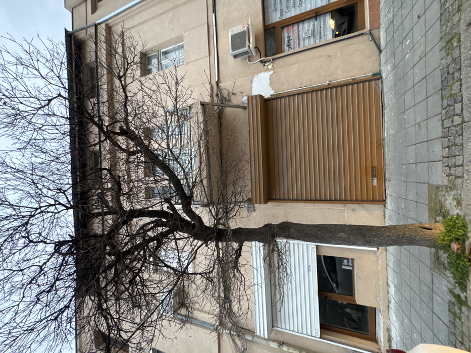A static street-level image depicts the facade of a multi-story building on Knyaz Alexander I Street No 25 in Plovdiv, Bulgaria, under an overcast sky. A leafless deciduous tree with dark, gnarled branches occupies the central foreground, rooted in a small soil patch on a paved sidewalk. The sidewalk is constructed from light grey square pavers in the foreground transitioning to darker cobblestones.
The building behind the tree features a light brown stucco finish. Its ground level contains two commercial storefronts. The left storefront has a partially raised white roller shutter, revealing a glass window reflecting a white vehicle and a dark wooden door frame. The right storefront is fully secured by a brown roller shutter. To the immediate right of the brown shutter, an external air conditioning unit is mounted on the facade above a glass entrance door for a business named "Aleya," with the address "ул. Княз Александър I No 25" visible on its window. Upper floors of the building display multiple windows, and a balcony with a white metal railing is present on the second floor. Visible utility conduits run along the building's exterior. No people are present in the scene.
