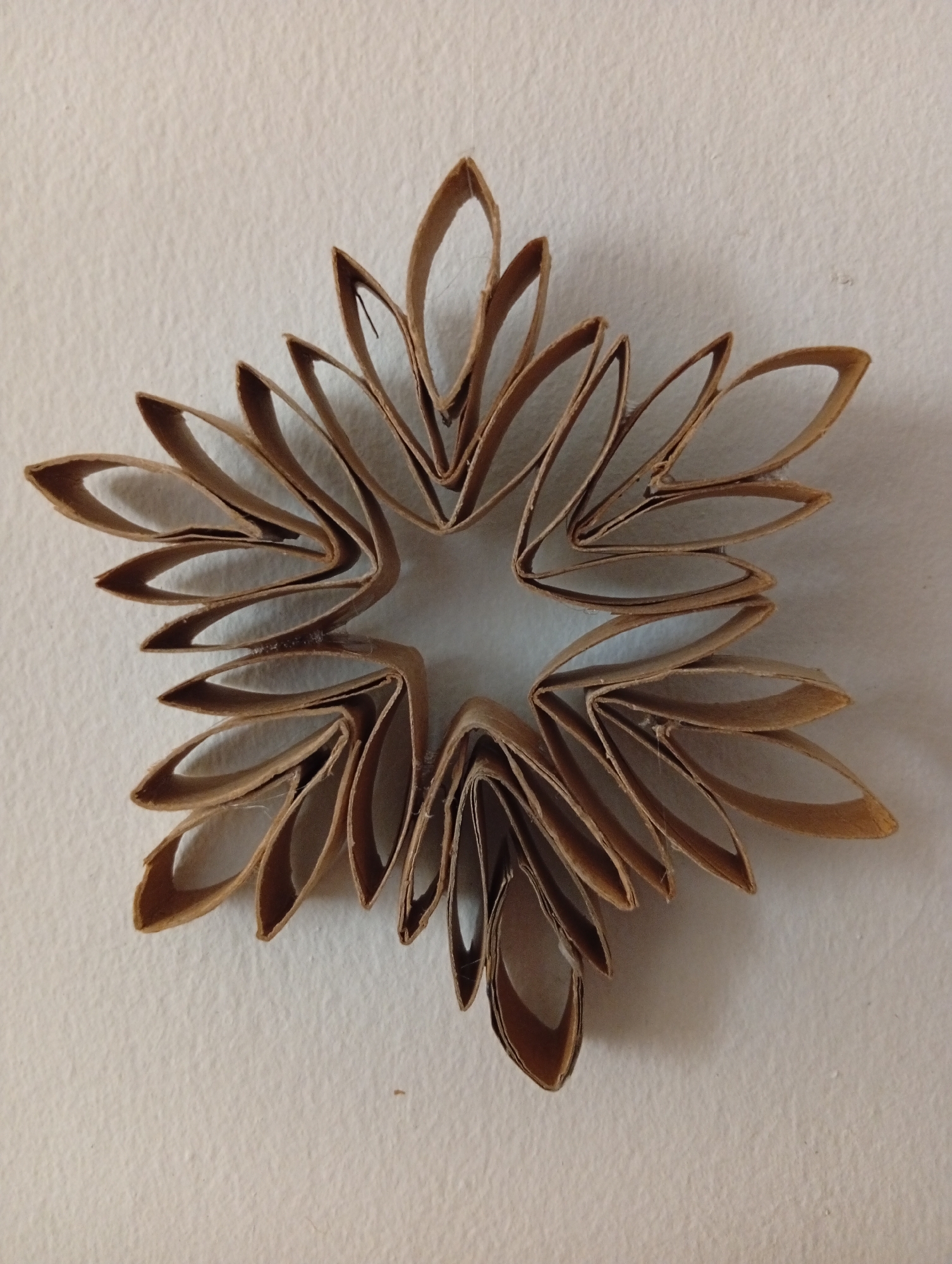 A brown, star-shaped craft made from toilet paper rolls is adhered to a textured, off-white wall. The craft is symmetrical and resembles a snowflake or a flower with five points, each point composed of multiple layered, curved segments. The lighting casts subtle shadows, highlighting the dimensionality of the craft. The image was taken in San Antonio de Los Altos, Venezuela.