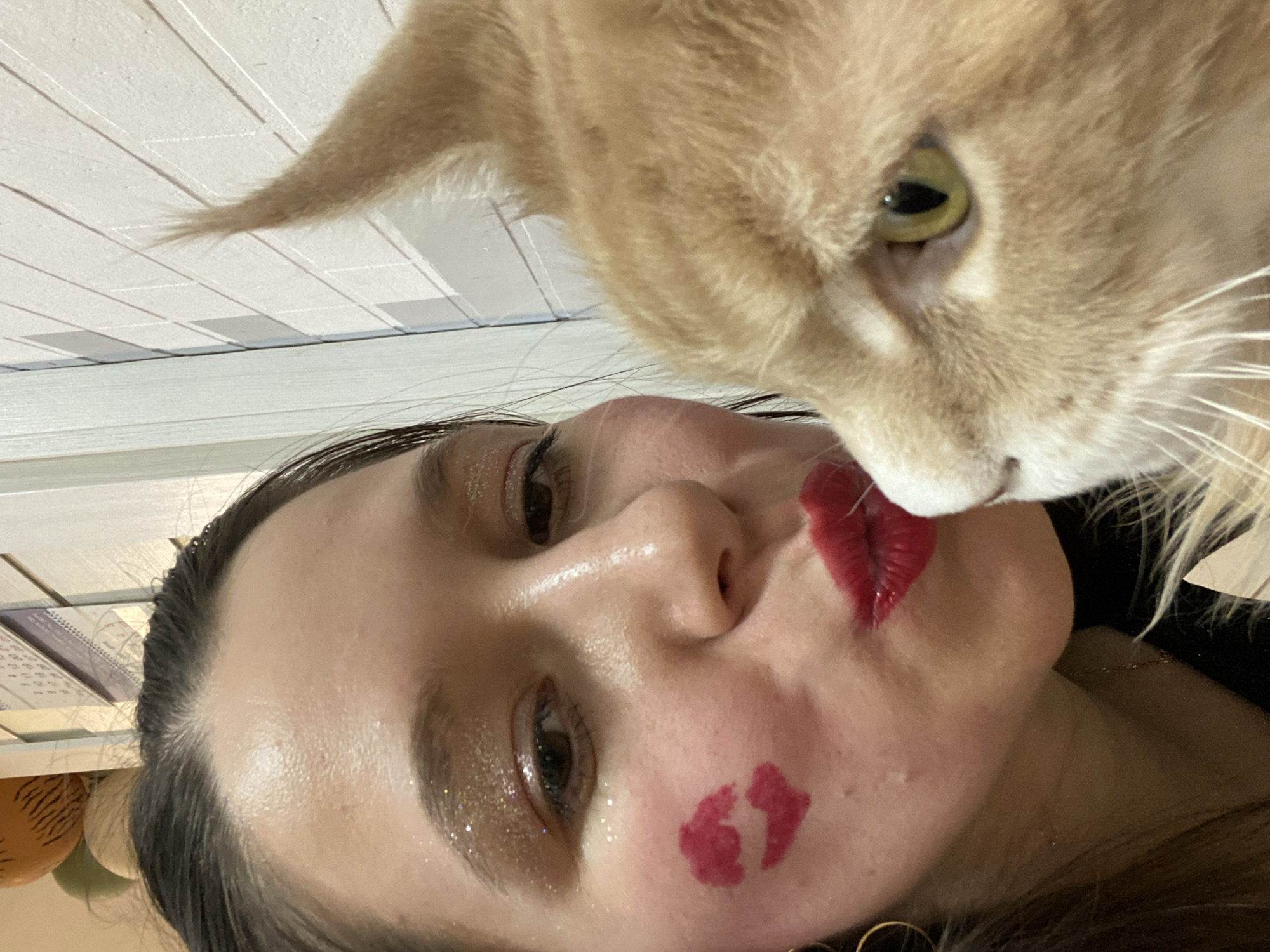 A woman is taking a selfie with an orange tabby cat. The woman has dark hair and is wearing makeup, including red lipstick, which is also imprinted on her cheek. The cat is positioned close to the woman's face. The background shows a partially visible ceiling with rectangular panels, a calendar, and some balloons. There is no indication of the location being Chaikovsky, Russia.