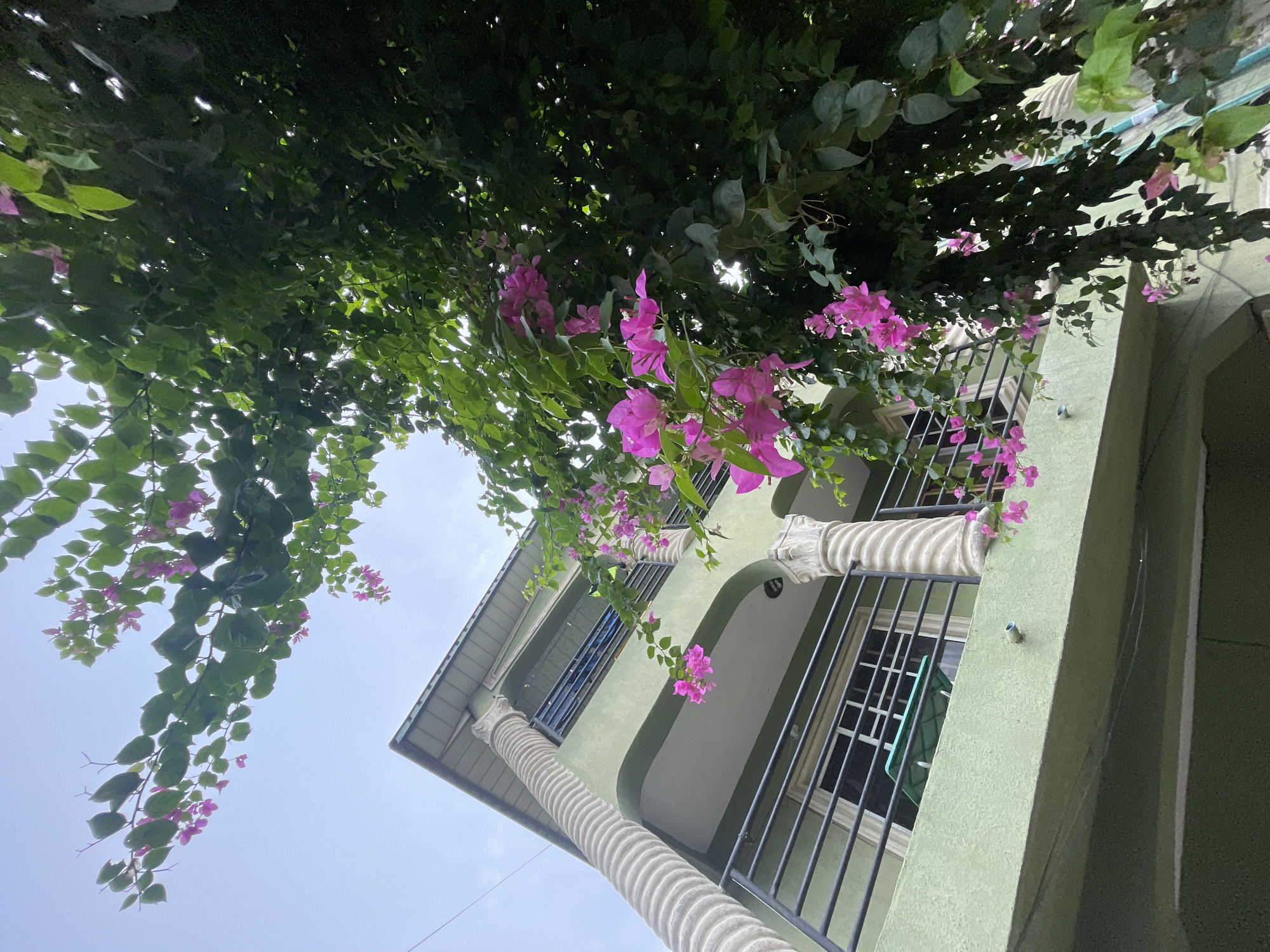 A low-angle shot reveals a pale green building in Ado, Nigeria, adorned with pink bougainvillea flowers cascading from the roof and balconies. The building features large, cylindrical columns with decorative tops. Black wrought-iron railings guard the windows. The sky is overcast. Green foliage from a tree or vine covers the upper portion of the frame.