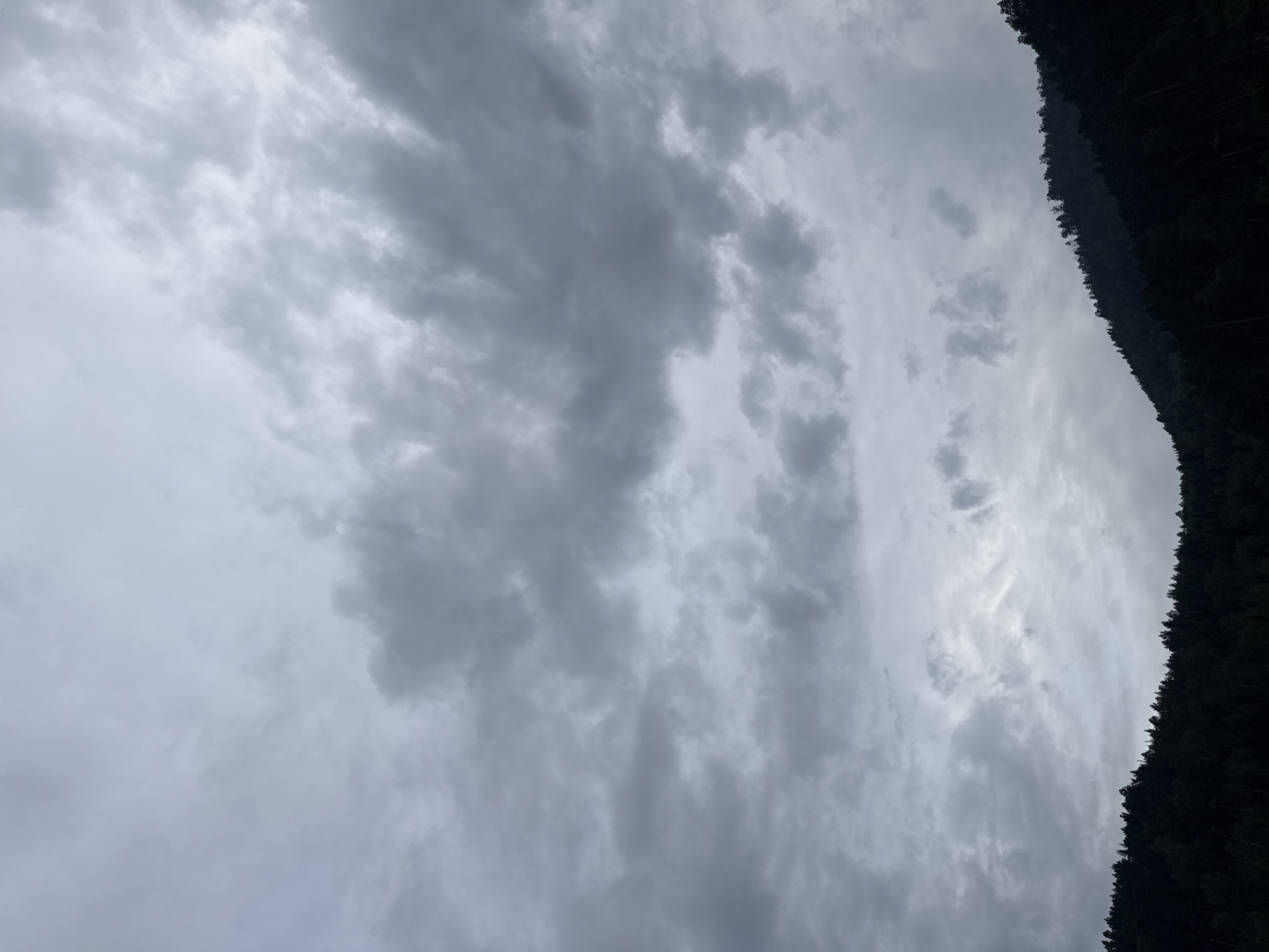 The image captures a cloudy sky over a dark, densely forested hillside. The sky is filled with various shades of grey clouds, with some lighter patches indicating diffused sunlight. The hillside, which slopes upwards from the bottom right to the top left, is covered in evergreen trees, their silhouettes appearing almost black against the overcast sky. The scene is devoid of any people or specific man-made structures, suggesting a natural, perhaps remote, environment. The location is identified as Усть-Мана, Russia.