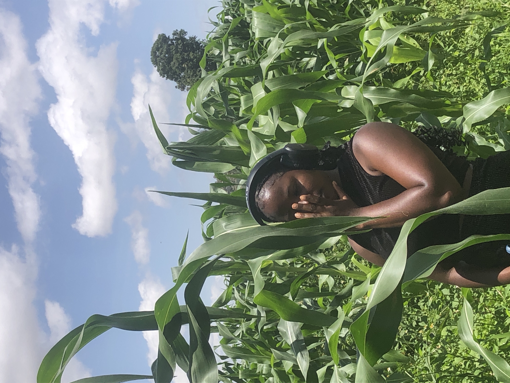 A young Black woman wearing headphones stands in a field of tall green corn stalks under a bright blue sky with scattered white clouds. She is facing forward, her right hand covering her mouth and nose, and her left arm is bent across her chest. The woman is wearing a black sleeveless top. The corn stalks are lush and vibrant green, creating a dense, natural backdrop. In the distance, a large green tree is visible against the sky. The scene suggests an outdoor setting in a rural or agricultural area, possibly on the outskirts of Gwafan, Nigeria.