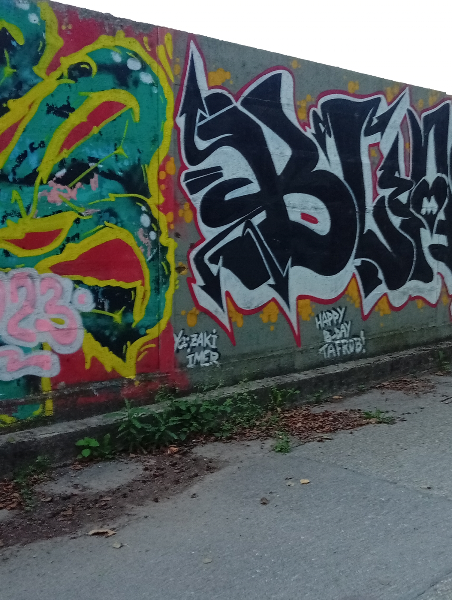 The image depicts a section of a concrete wall covered in graffiti. On the left, there is graffiti in predominantly green, yellow, and red, featuring a stylized, organic shape and the numbers "23" in pink. To the right of this, the wall displays bolder, black graffiti with white outlines and accents, forming large, angular letters. Below this black graffiti, there is smaller white text that reads "HAPPY B-DAY TAFROB!". Further to the right, more black graffiti is visible, partially cut off by the image frame. The graffiti is on a wall that appears to be part of an outdoor structure, possibly in an urban or semi-urban environment, given the presence of a paved surface and some vegetation at the base of the wall. The lighting suggests it is daytime. This scene is located on a wall alongside the railway in Tišnov, Czechia.