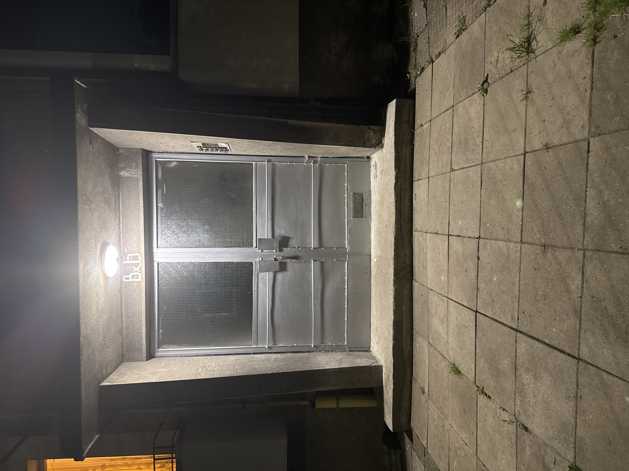 A ground-level exterior shot depicts a dimly lit, concrete doorway in Sofia, Bulgaria. The doorway features a gray, metal double door with wire mesh windows in its upper halves. A round light fixture shines brightly on the left side of the doorway, while a call box is visible above the door. The concrete entrance is flanked by tiled sidewalk. Weeds sprout from the cracks between the tiles. The overall atmosphere is somber and urban.