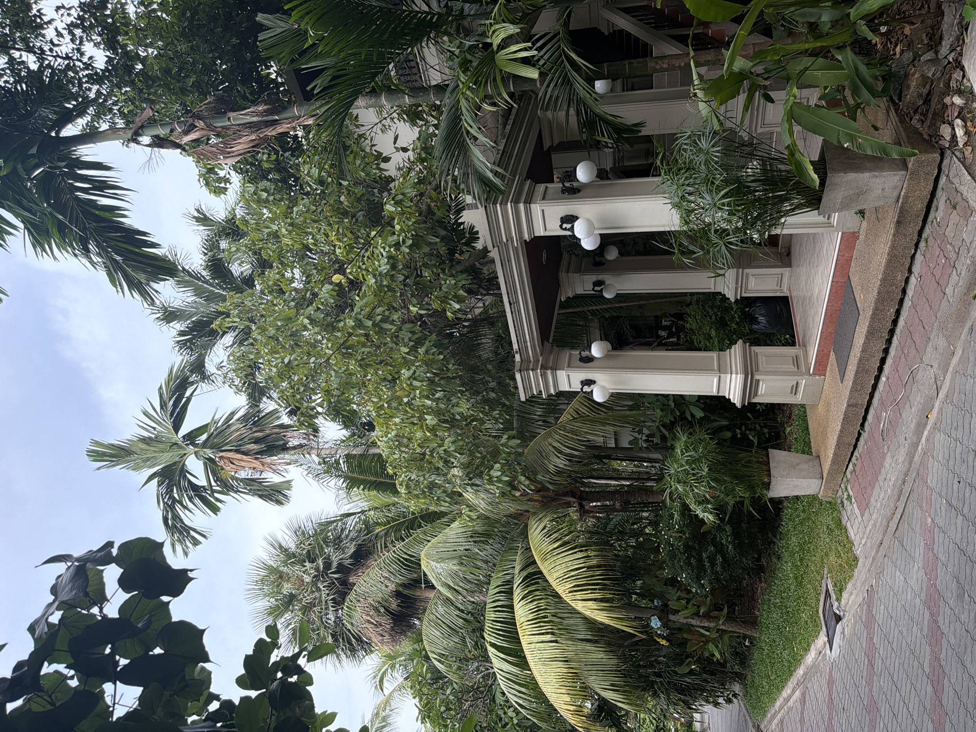 The image depicts a serene residential entrance in Ko Samui District, Thailand, enveloped by lush tropical foliage. A paved walkway, constructed with interlocking red and gray bricks, leads to a stately portico. The portico features four fluted columns supporting an overhang, adorned with decorative wall sconces. Beside the walkway, a meticulously maintained patch of grass borders a drainage grate.
In front of the portico, a large, square concrete planter holds a tall, bushy green plant with slender, grass-like leaves. To the right of the portico, a tall palm tree with vibrant green fronds stands adjacent to the building. The building itself, partially visible, appears to be a multi-story structure with white walls and dark-trimmed windows.
The surrounding environment is dominated by a dense array of tropical plants and palm trees, their leaves creating a dense canopy overhead. The sky above is overcast with a few visible clouds. No people are present in the scene. The overall impression is one of tropical tranquility and well-maintained tropical landscaping.