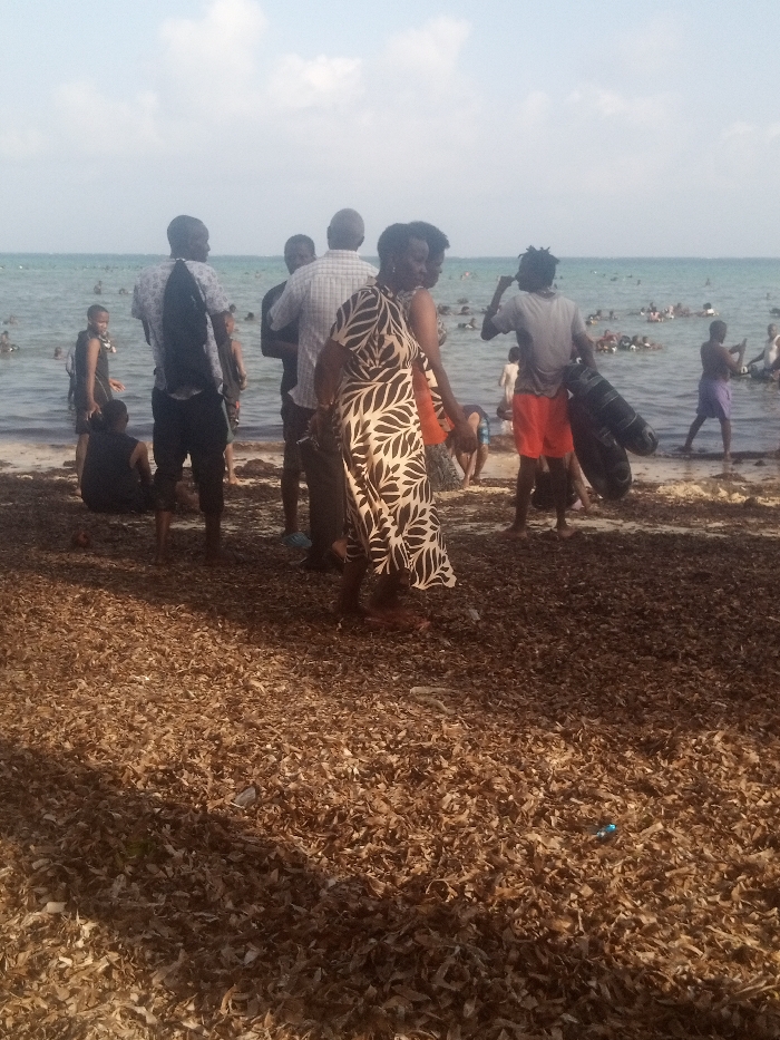 The image depicts a crowded beach scene in Shanzu ward, Kenya, under a bright, overcast sky with visible blue patches. The foreground is entirely covered with a thick layer of dried, brown organic matter, likely seaweed or dried leaves.
Approximately 10-15 individuals are visible on the immediate shoreline, with many more visible in the ocean. In the midground, a woman in a long, black and white patterned dress is walking from left to right, her face visible as she looks to the left. To her left, a man in a white shirt with a black back panel and dark pants stands facing the ocean, while another individual sits on the ground near the waterline. To the right of the central woman, a man in a grey t-shirt and orange shorts stands, appearing wet, carrying a black tire inner tube over his left shoulder, also facing the ocean. Another person in a purple garment is partially visible entering the water further right.
The ocean, which forms the background, is light blue-green and appears calm. A large number of people are visible in the water, scattered across the visible expanse, suggesting swimming, wading, and recreational activities. Some individuals in the water appear to be using flotation devices, such as inner tubes. The overall environment suggests a leisure activity at a coastal location. No specific interactions between individuals are clearly discernible beyond general proximity and movement.