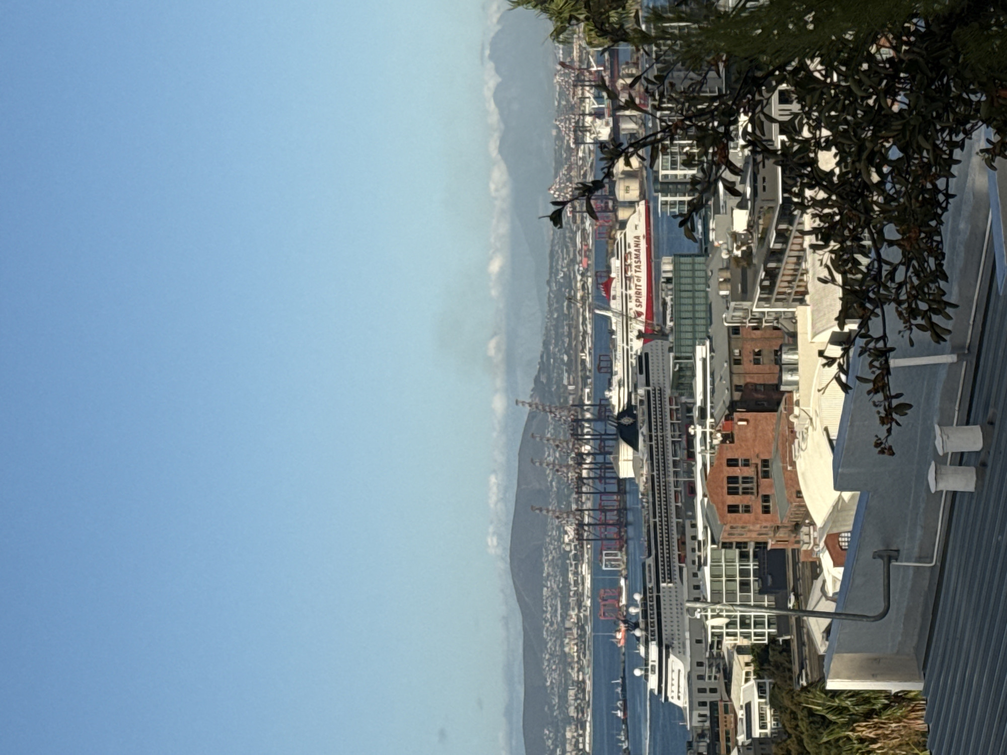 The image shows a port city view taken from an elevated position, likely a building or hillside. The sky is clear blue and fills the left side of the frame. The cityscape includes a harbor with a large passenger ferry that has "SPIRIT OF TASMANIA" written on its side, several red cranes, and numerous buildings, a mix of residential and commercial architecture. In the foreground, parts of a building are visible, as well as the leaves of a tree. The photograph appears to have been rotated 90 degrees counter-clockwise. Given the presence of the Spirit of Tasmania ferry, the location cannot be Cape Town, South Africa. Instead, it is likely Hobart, Tasmania, Australia.