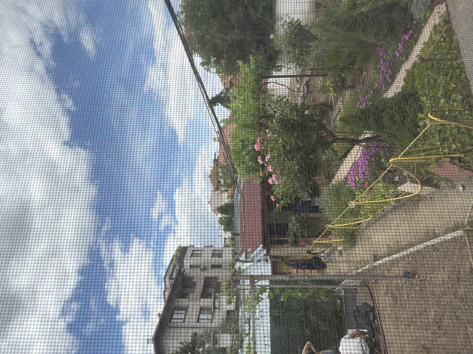 The image shows a view of a residential backyard through a window screen, looking towards the east in Pazardzhik, Bulgaria. In the foreground, a pathway is visible, bordered by green bushes and blooming pink flowers. A yellow rope fence runs along the side of the pathway. Further back, a small red-roofed building is situated, with a larger apartment building in the background. The sky is blue with scattered white clouds. A person is seen kneeling in the left side of the image, near a greenhouse structure. The scene depicts a typical urban backyard with a mix of vegetation and residential buildings.