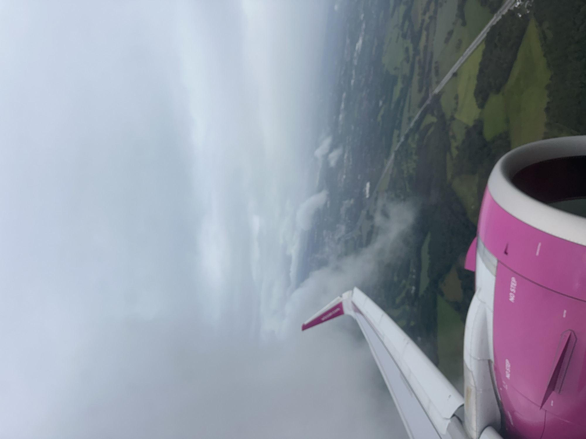 The image is a view from an airplane window, showing a wing and engine in the foreground, with a landscape of green fields and a highway visible below. The sky is overcast with clouds. The aircraft is painted white with pink accents on the wingtip and engine. The text "NO STEP" is visible on the engine cowling. The landscape appears to be rural, with patches of trees and fields, and a long, straight highway stretching into the distance. There are no visible people or specific landmarks that can identify the location as Hamburg, Germany.