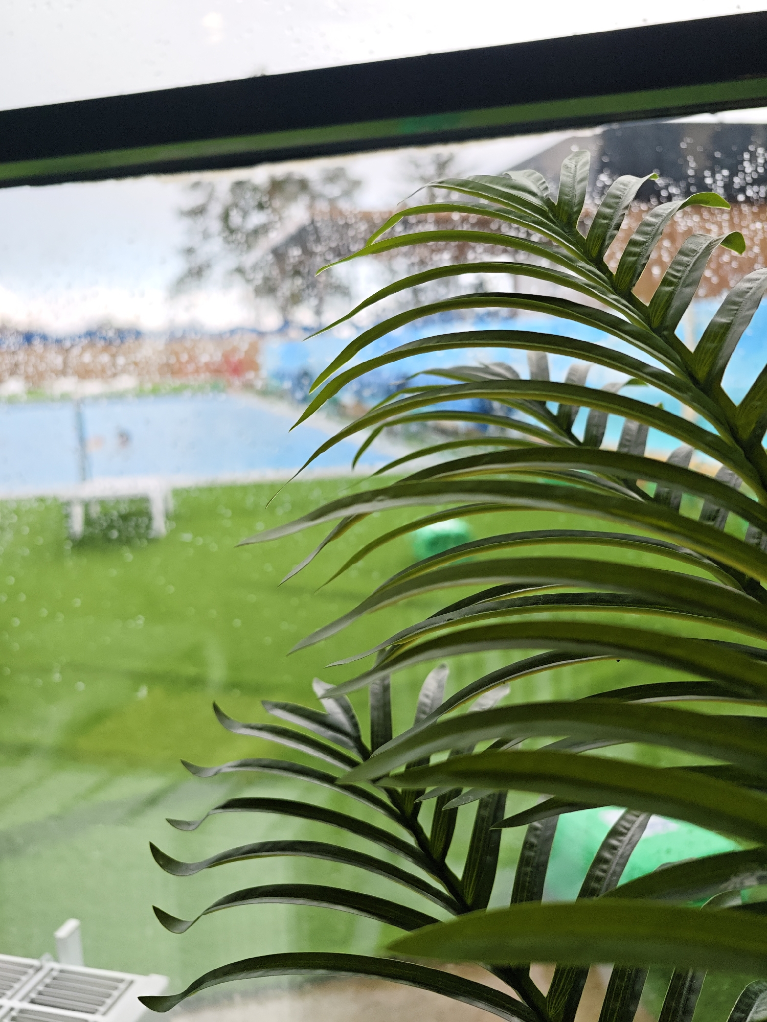 The image captures an indoor-outdoor view, with a vibrant green, palm-like plant dominating the foreground in sharp focus. The plant's segmented leaves, appearing somewhat artificial or plastic, curve gracefully across the right and lower-middle sections of the frame.
Through a window, the outdoor scene is visible, heavily blurred and softened by numerous water droplets on the glass, suggesting rain or condensation. The upper part of the window features a dark, possibly black, frame or sill.
Beyond the wet glass, the background reveals an overcast daytime scene. A prominent blue area, likely a swimming pool or a tennis court, occupies the mid-ground. Adjacent to it, a bright green lawn or grassy area extends towards the distance. Blurry shapes of trees or distant foliage are discernible against a lighter, hazy sky. White structures, possibly pool edges, a net, or fences, are faintly visible in the outdoor setting. A light green or chartreuse spherical object, possibly a ball or decoration, rests on the grass, partially obscured by the foreground plant.
In the bottom-left corner, a part of a white indoor vent or grille is visible. No human activity or text is present in the image. The overall atmosphere is tranquil, emphasizing the contrast between the indoor plant and the rainy outdoor landscape.