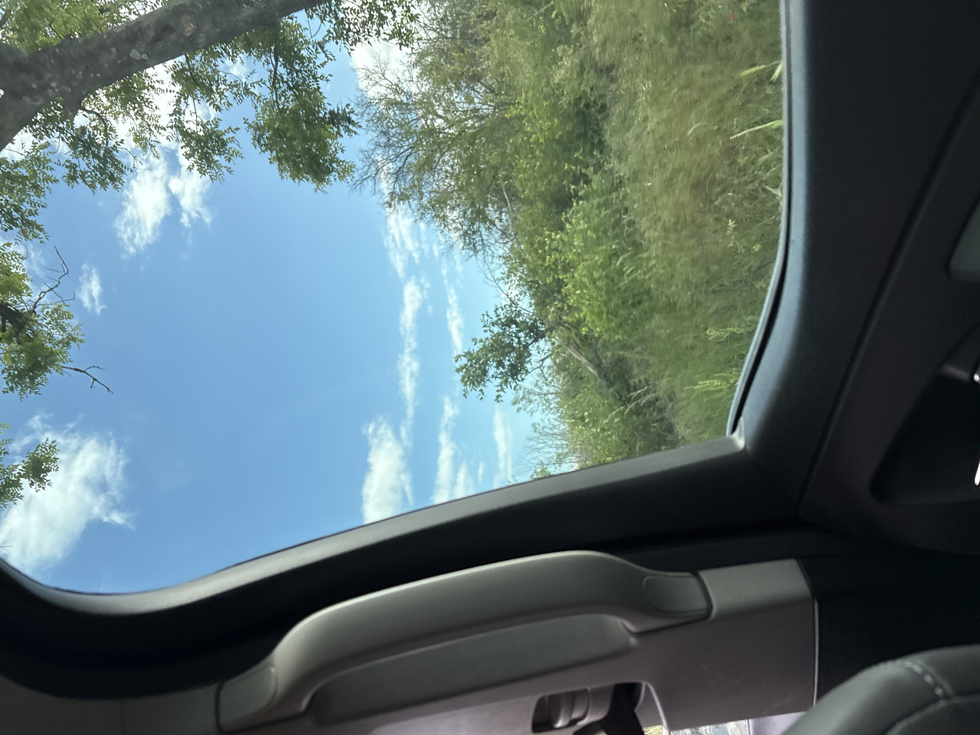 The image depicts a view from inside a vehicle, looking up through an open roof. Outside, there's a view of trees and a blue sky with scattered clouds. The surrounding vegetation appears lush and green. A portion of the vehicle's interior, including the roof structure and a grab handle, is visible. The image gives the impression of being outdoors in a natural setting, but the location is not possible to discern from the image alone. Levski, Bulgaria cannot be determined from the given image.