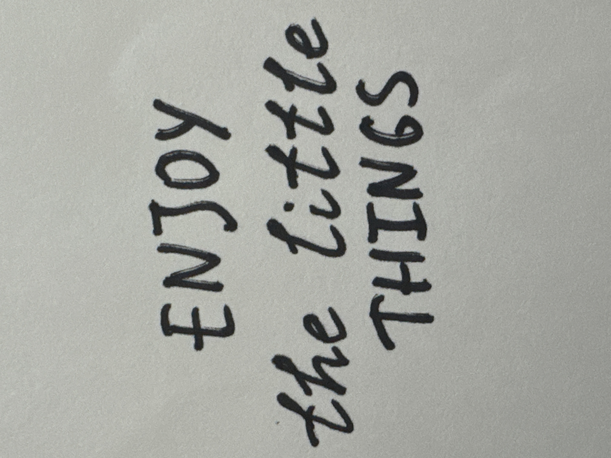 The image displays a handwritten motivational quote on a plain, light-colored surface, likely paper. The quote, written in black ink with a brush-like effect, reads "ENJOY the little THINGS". The letters are in a casual, slightly stylized script. There are no people or any other objects visible in the frame. The background appears to be textured, suggesting it's a rough paper surface. The lighting is even, with no harsh shadows. The scene is devoid of any specific location markers, and there is no indication of it being in Mikhaylovsk, Russia.