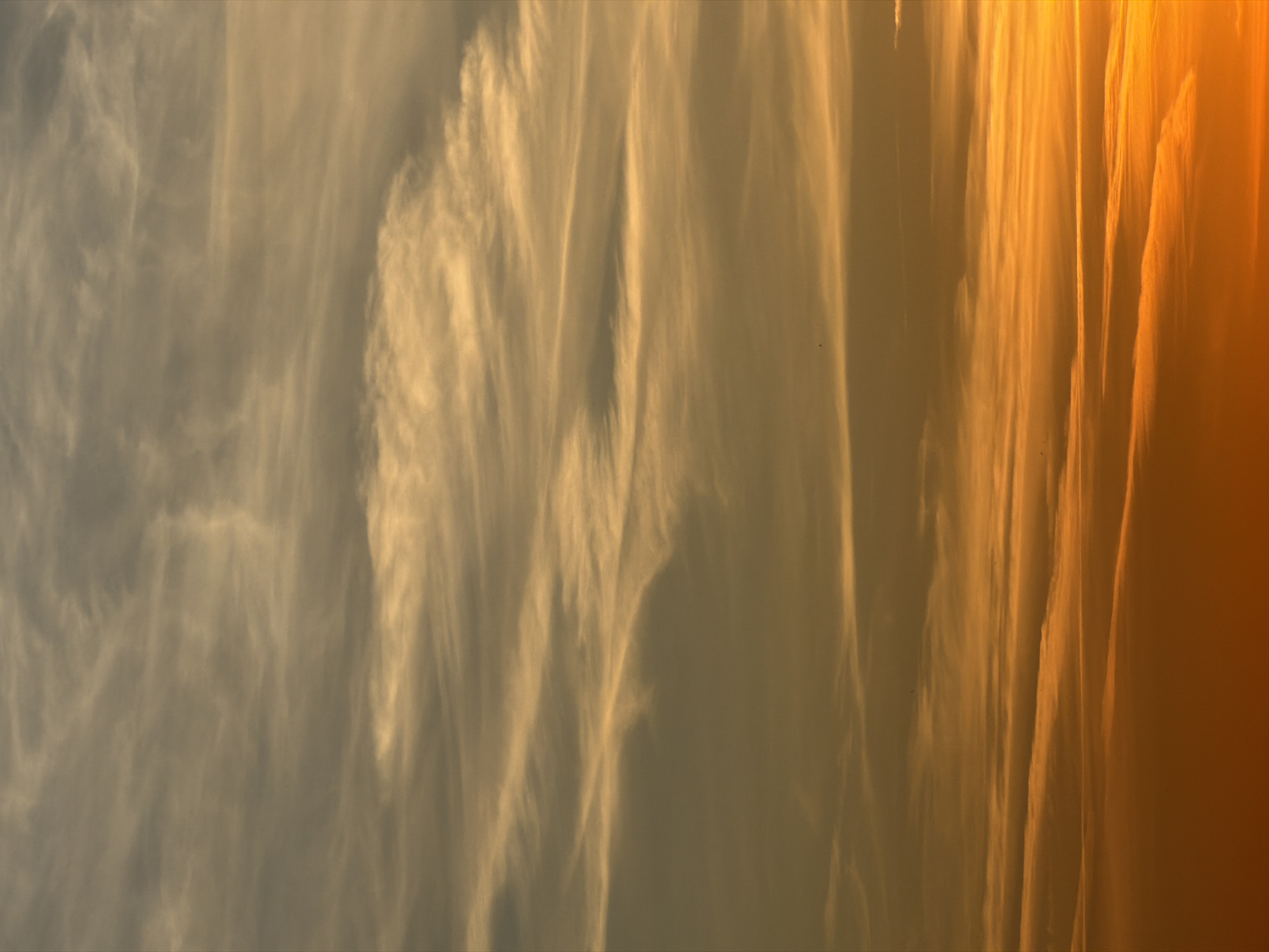 This vertically oriented image captures a dramatic sky at either sunrise or sunset, characterized by a striking horizontal color gradient. The left side of the frame displays soft, muted greyish-yellow tones, transitioning horizontally across the sky to vivid, warm orange hues on the far right, indicating the proximity of a strong light source, likely the sun.
The sky is filled with wispy, elongated clouds, resembling brushstrokes or streaky patterns. These high-altitude clouds, possibly cirrus, are beautifully illuminated by the low-angle light, glowing with golden and orange tones, especially towards the right. The clouds on the left are more diffuse and less defined, blending into the paler sky, while those in the mid-section show more distinct, flowing forms. Towards the right, the clouds appear almost translucent and intensely bright, standing out against the deepening orange backdrop. The texture of the clouds is soft and ethereal, creating a sense of movement and depth across the celestial canvas. There are no identifiable objects, people, or activities, focusing solely on the atmospheric phenomena. No text is visible.