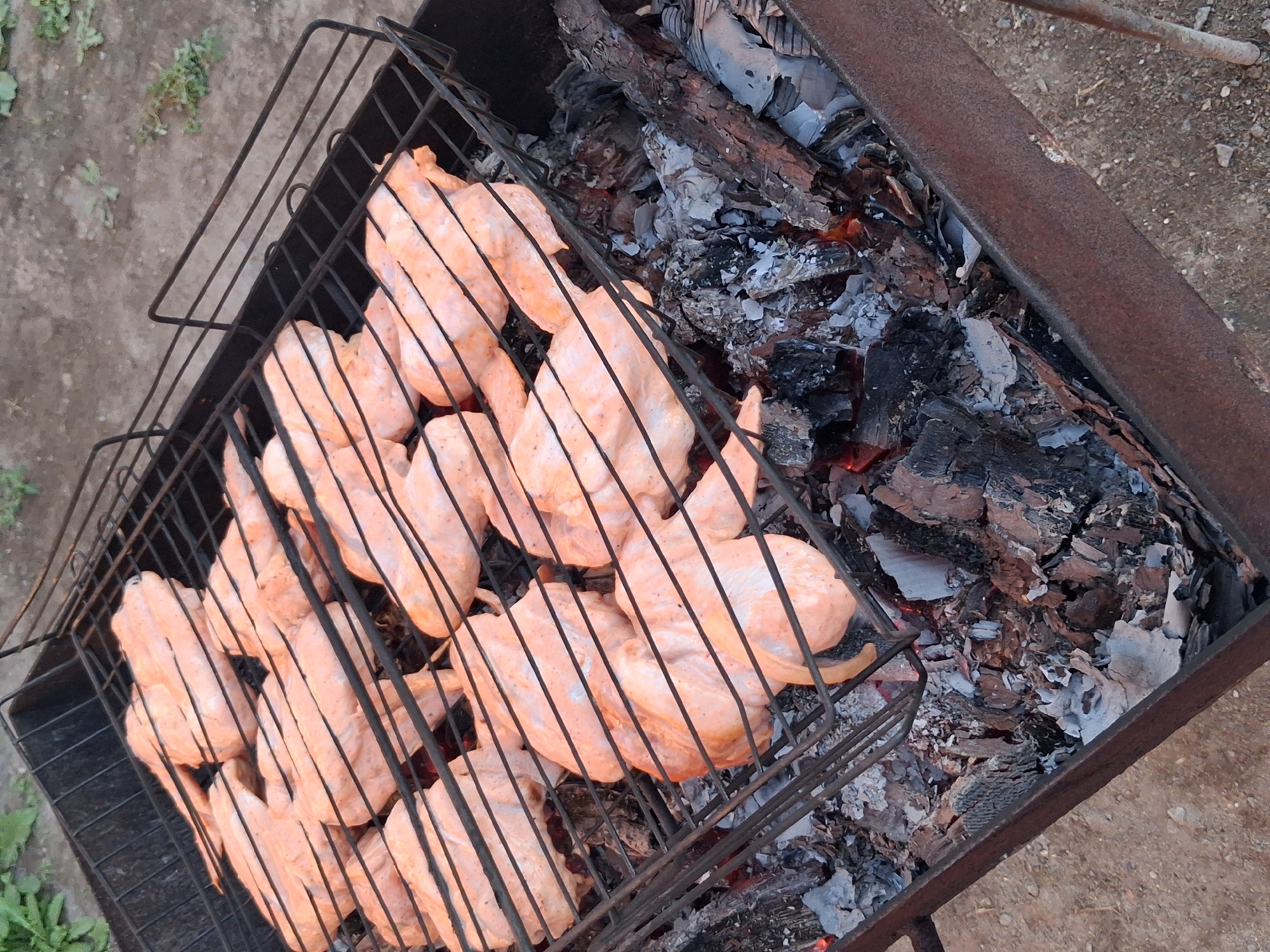 In the city of Semey, Kazakhstan, a close-up, high-angle shot captures chicken wings being grilled over hot coals in a black metal barbecue pit. The chicken wings, raw and seasoned with a light pinkish hue, are arranged on a black metal grill rack. The coals below are glowing red and covered in white ash, with several charred pieces of wood visible. The background consists of rough, dry ground with sparse vegetation. The scene appears to be outdoors, with natural lighting.