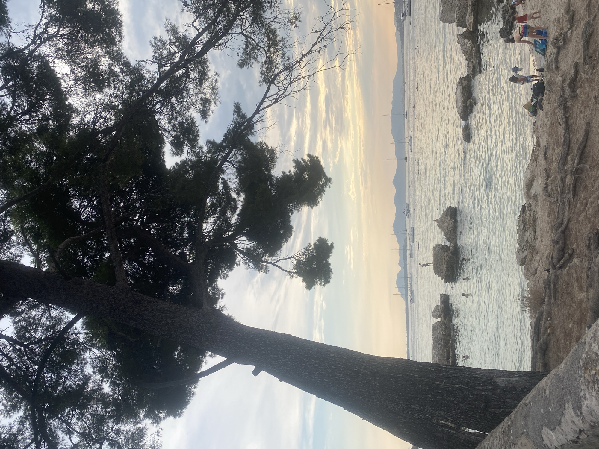 A large pine tree dominates the left side of the frame, its trunk leaning towards the water. The tree's branches extend across the upper portion of the image, casting shadows and framing a view of the Mediterranean Sea under a cloudy sky. Several sailboats and a few motorboats are visible on the water in the middle ground, with a distant coastline featuring mountains or hills. In the foreground, a rocky beach is sparsely populated with people. Several individuals are in the water, swimming or wading. On the beach, a few people, including children, are gathered near towels and bags. One person stands on a rock formation in the water, looking out at the sea. The scene suggests a peaceful, late afternoon or early evening at a coastal location. This view is consistent with areas along the coast of Antibes, France, particularly near beaches and rocky inlets where pine trees are common and the coastline offers such vistas.