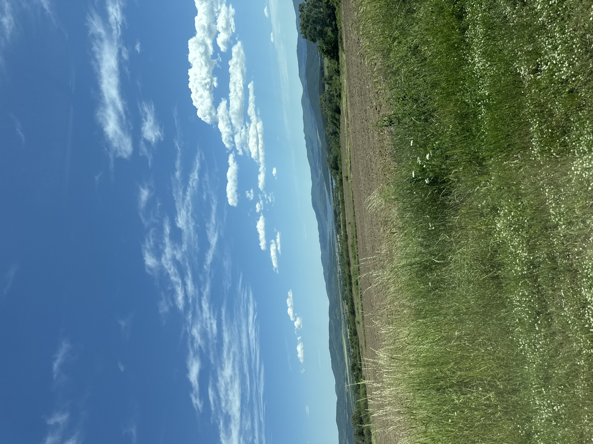 The image depicts a landscape scene in Konare, Bulgaria. A blue sky with white clouds occupies the left side of the frame. A field is present on the right side of the frame. A line of trees sits between the field and the sky. Hills are visible in the distance.