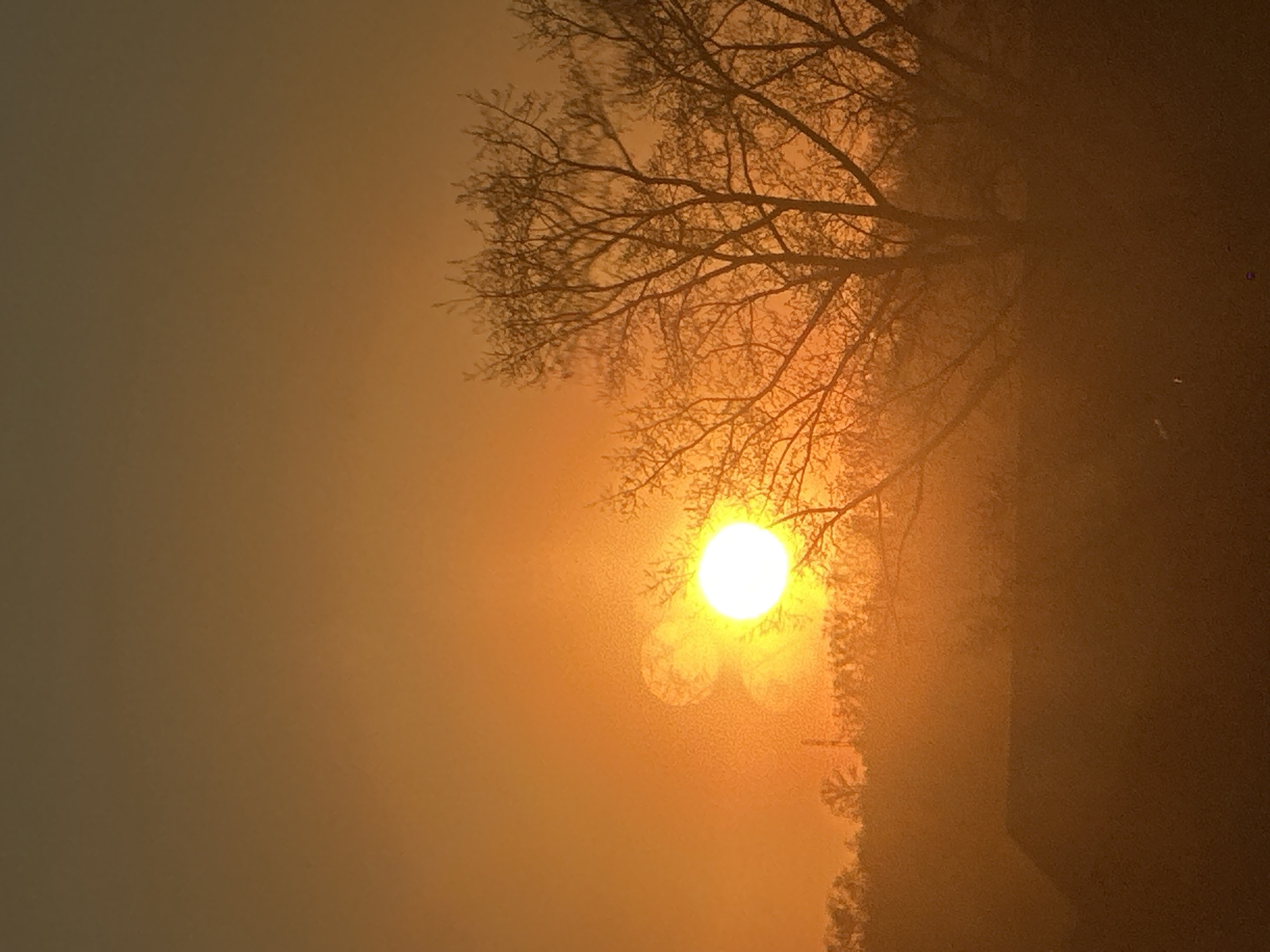 The image, oriented in landscape, depicts a hazy sunrise or sunset in Biysk, Russia, characterized by warm, diffused light. A bright, spherical sun is prominently featured towards the right of the frame, casting a golden-yellow glow across the scene.
Intricate, bare tree branches are silhouetted against the luminous sky, stretching across the upper and right sides of the image. These branches suggest an autumn or winter setting. The sky displays a gradient of warm colors, transitioning from intense golden yellow around the sun to softer orange and muted brown tones in the areas further from the light source. The atmosphere is notably hazy or misty, which softens the light and creates an ethereal quality.
A faint, dark outline of what appears to be a building or structure is visible in the lower right corner, partially obscured by the mist and trees. The overall impression is one of serene natural beauty, likely at the beginning or end of a day. No visible text is present in the image.