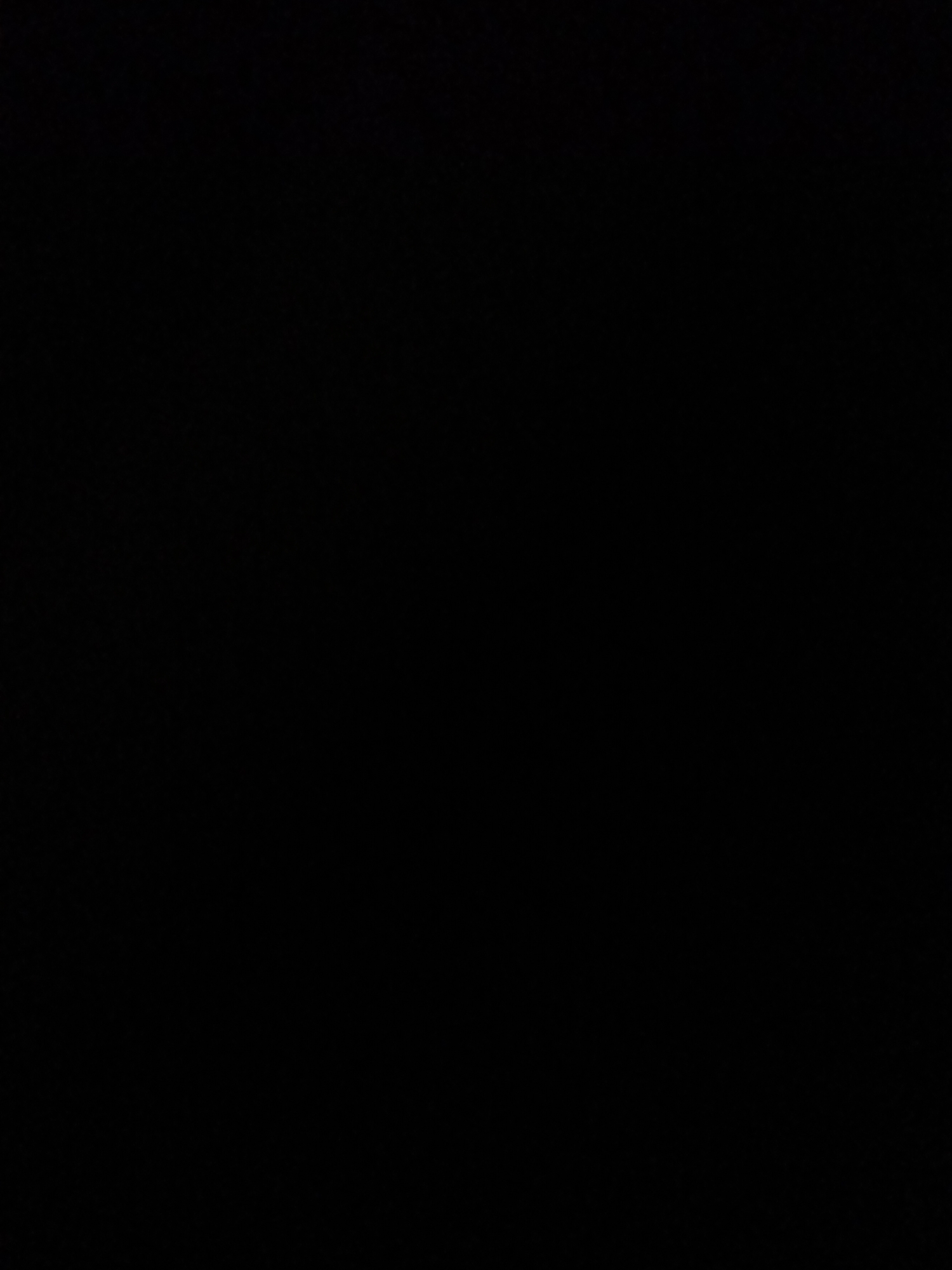 The image is a solid black rectangle. There are no discernible subjects, activities, or details visible. Therefore, it is impossible to provide a description of people, objects, scene, setting, activity, event, time of day, weather, location cues, emotions, or any visible text.