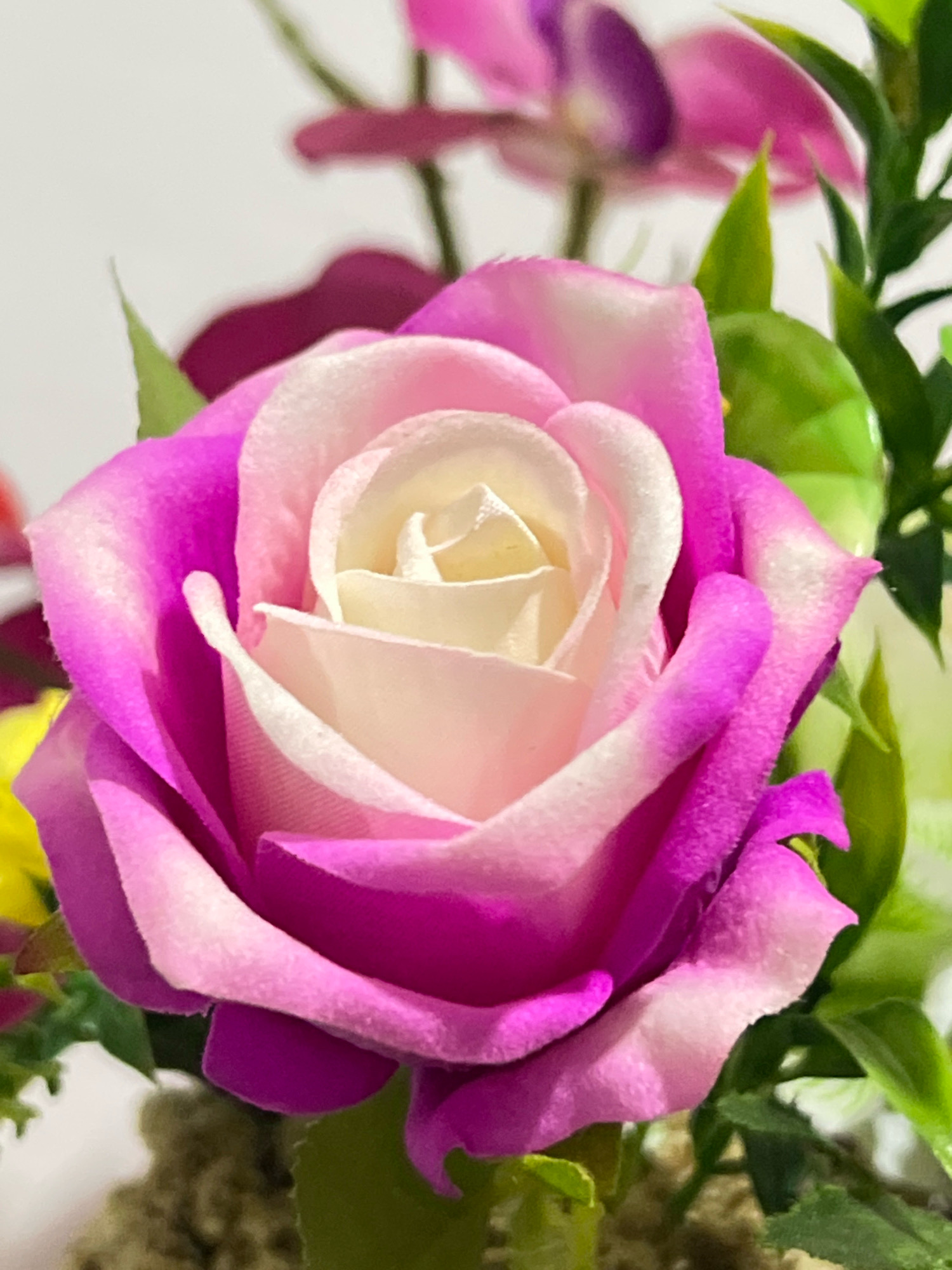 A close-up, eye-level, vertical shot focuses on a vibrant pink and white artificial rose. The rose's petals exhibit a gradient, transitioning from a deep magenta at the edges to a soft white at the center. Hints of other artificial flowers and greenery are visible in the softly blurred background. The lighting is bright, creating a slightly overexposed effect on the white portions of the rose. The image lacks any discernible signs of people or specific urban landmarks, making it impossible to determine a location within Denpasar, Indonesia.