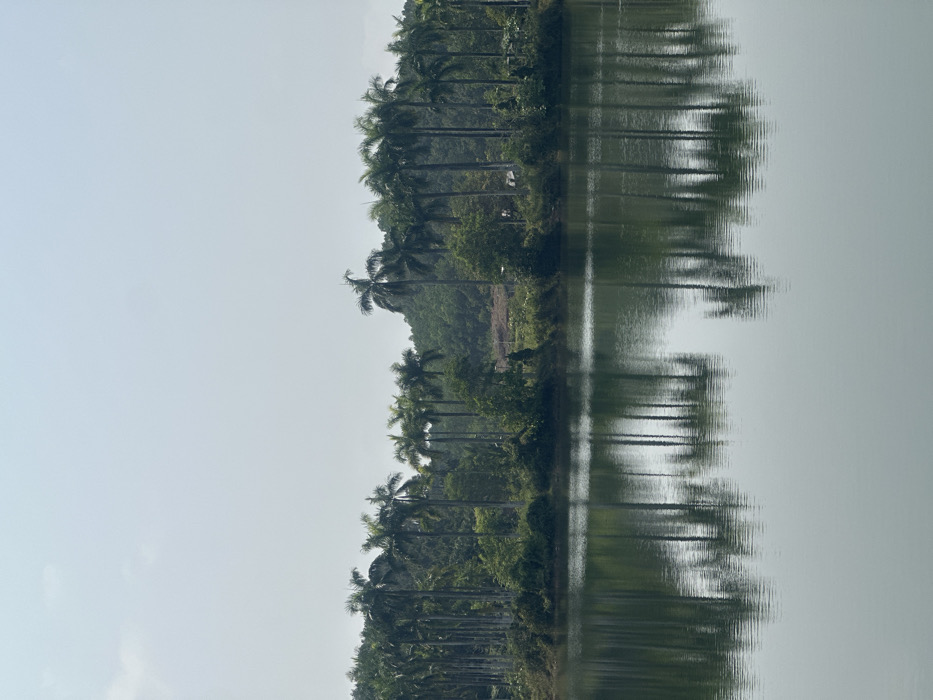 The image presents a static, expansive view of a natural landscape located in Thủy Xuân Ward, Vietnam. The scene is bisected horizontally by a distinct horizon line. The lower half of the frame is occupied by a calm body of water, displaying a smooth, dark green-grey surface with faint ripples. This water body provides a clear, slightly distorted reflection of the sky and the treeline situated on its far bank.
The upper half of the frame features a pale, light blue to overcast grey sky, indicative of diffuse daylight conditions. Along the distant bank, a dense line of tall, slender-trunked palm trees, characterized by green fronds clustered at their crowns, stands prominently. These trees are consistently spaced and appear mature. Behind this immediate treeline, additional layers of lush green foliage and what appears to be hilly terrain covered in dense forest are visible, extending into the background. A localized clearing or lighter patch of ground is discernible within the distant vegetation on the right side of the image. No individuals or direct human activities are observable within the depicted scene.