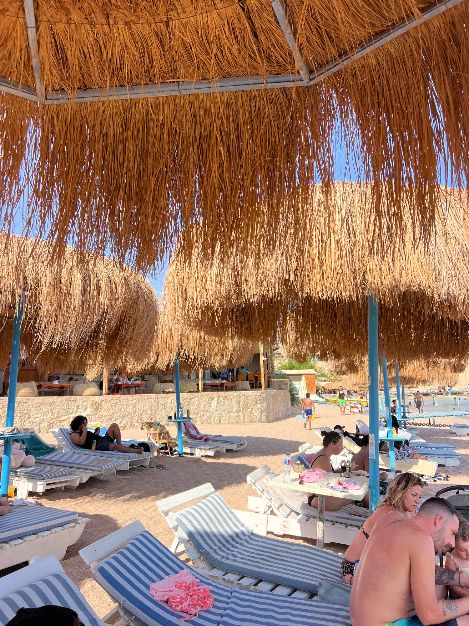 The image depicts a beach scene at a resort in Sharm El Sheikh, Egypt, likely on a sunny day. The foreground is dominated by the thatched roofs of several large beach umbrellas, casting shadows on rows of striped lounge chairs arranged on the sand. One man is lying on a lounge chair, looking at his phone. Several other lounge chairs are occupied by people, some of whom are seated at tables. In the middle ground, a beige stone wall separates the beach from a slightly elevated area with more seating and a bar or restaurant structure. A few people are visible walking on the sand and in the shallow water. The background shows a body of water, possibly the Red Sea, and a pier or walkway extending into it. The sky is clear and blue.