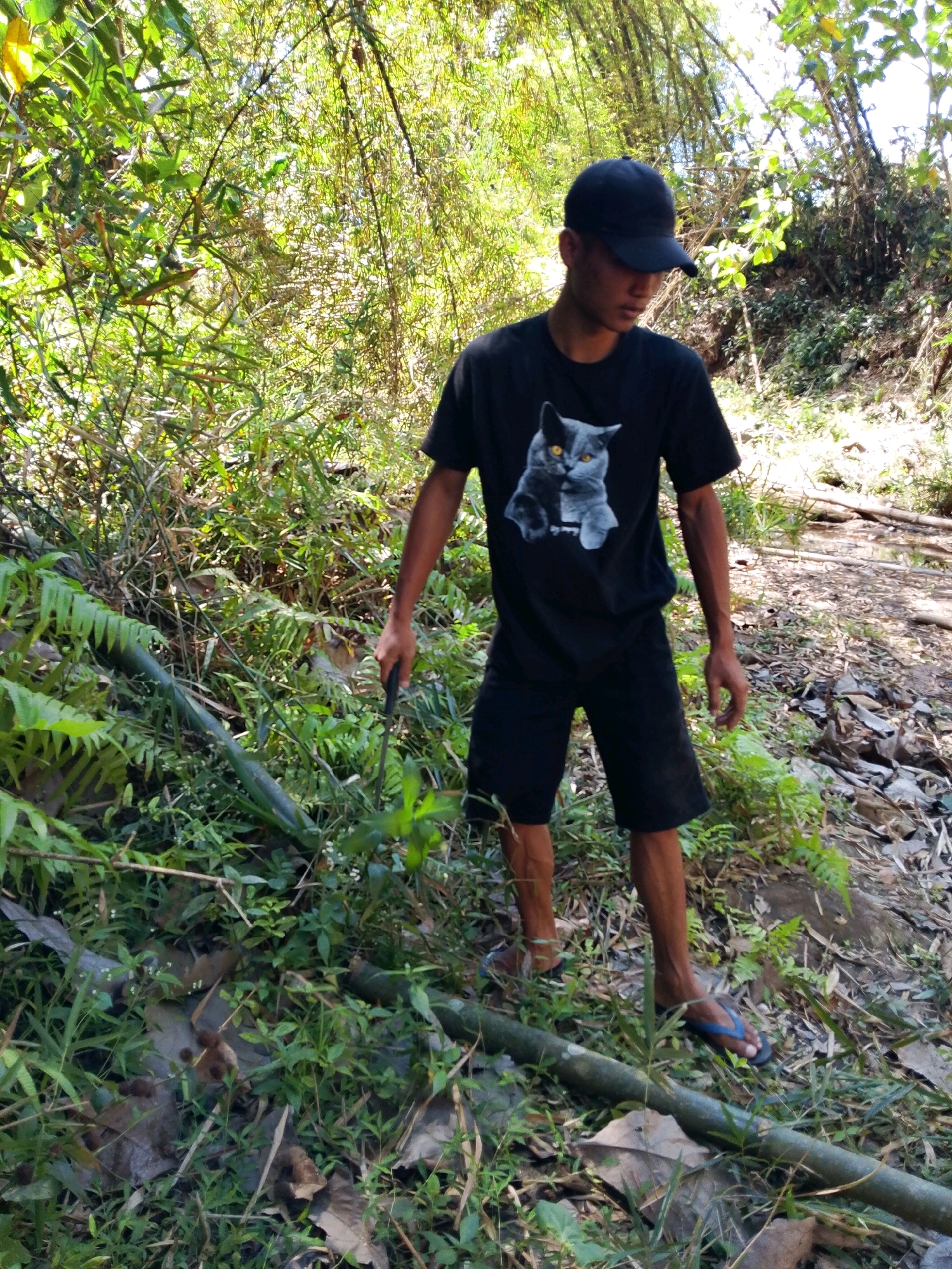 Memory