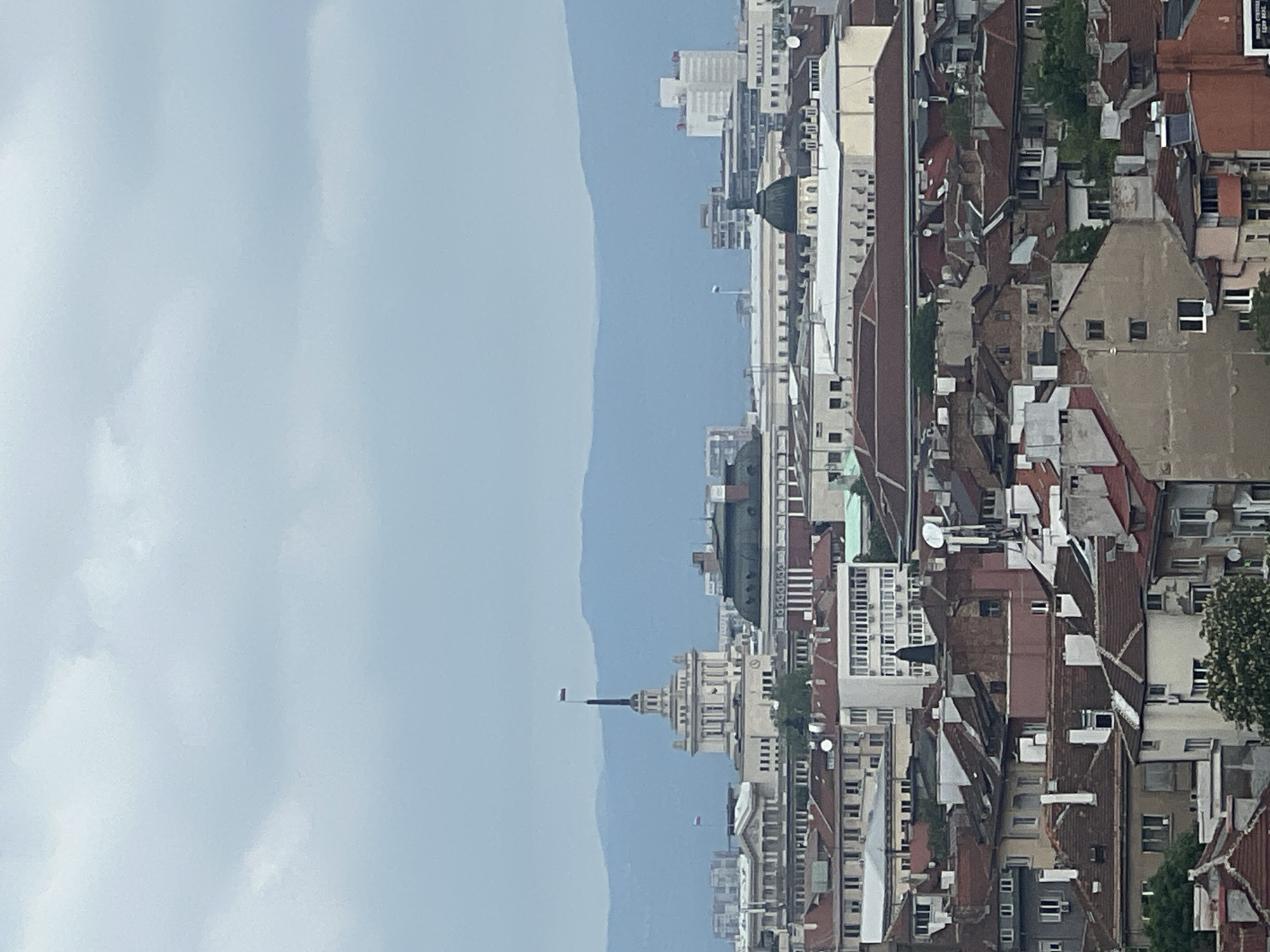The image is a slightly blurred, vertically oriented aerial view of Sofia, Bulgaria. Dominating the right side of the frame is a dense urban landscape comprised of buildings with predominantly red-tiled roofs and varied architectural styles. A range of buildings, including older structures and more modern, high-rise apartment blocks, create an irregular skyline.
To the left, a muted, gray-blue sky provides a contrasting backdrop. Faint outlines of distant mountains are visible through the haze. The buildings appear to be grouped closely together, indicating a high population density. The vegetation is limited but visible as small trees interspersed between buildings.
Landmarks in the scene include the National Assembly of Bulgaria. The photo captures a cityscape with a combination of historical and contemporary urban features. The overall atmosphere is somewhat muted due to the atmospheric conditions.