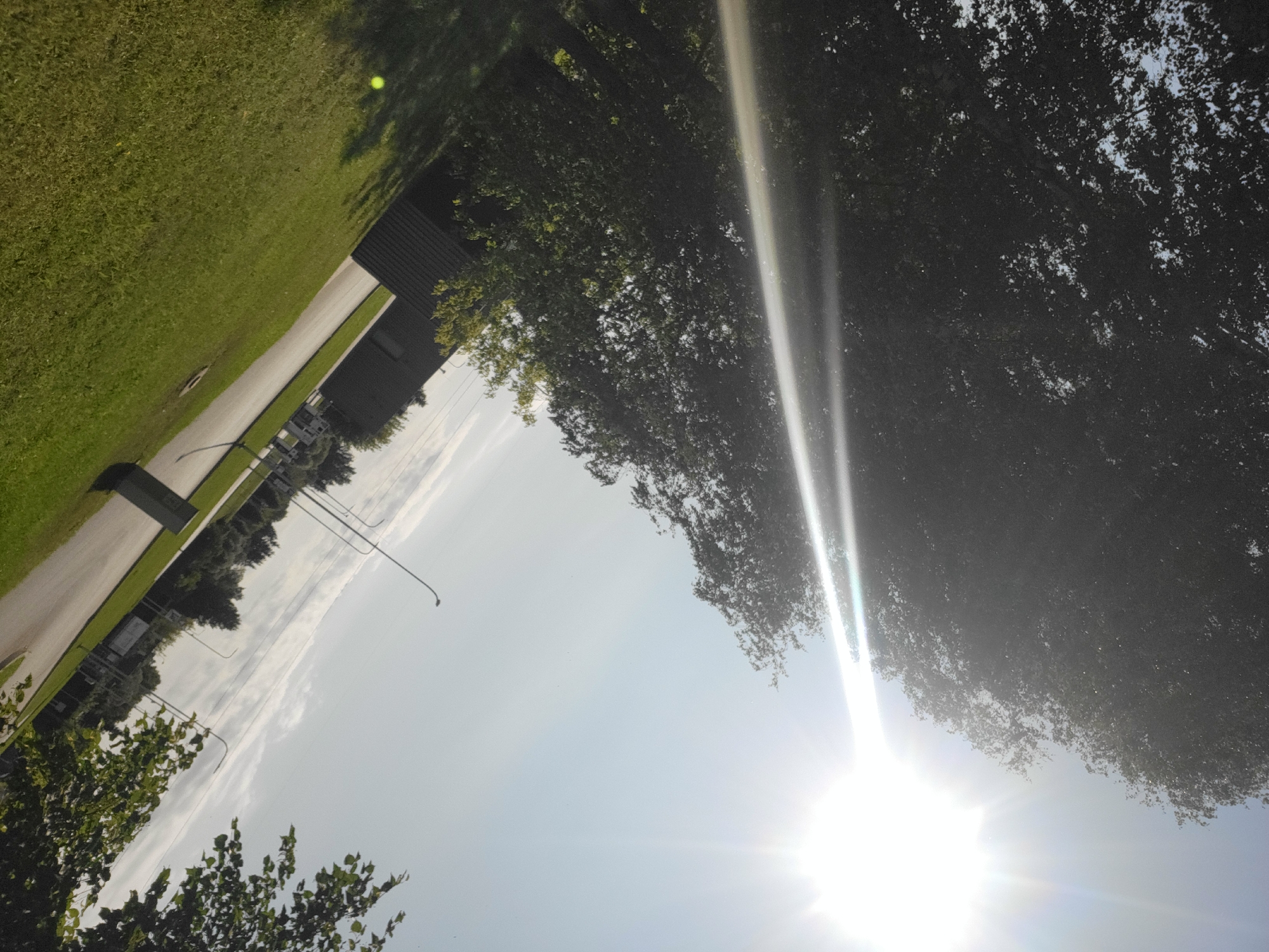 The image captures a bright, sunny day with the sun prominently featured in the upper right corner, casting strong rays and lens flare across the scene. The perspective is tilted, looking upwards at trees with dark foliage that partially obscure the sky. In the lower half of the image, a grassy area slopes down towards a paved road. A dark, corrugated building is visible on the left side of the road, and further in the distance, streetlights and more trees line the roadside. There are no people or animals visible in the frame. The overall impression is that of an outdoor scene on a clear day, possibly in a suburban or industrial area given the building and road infrastructure.