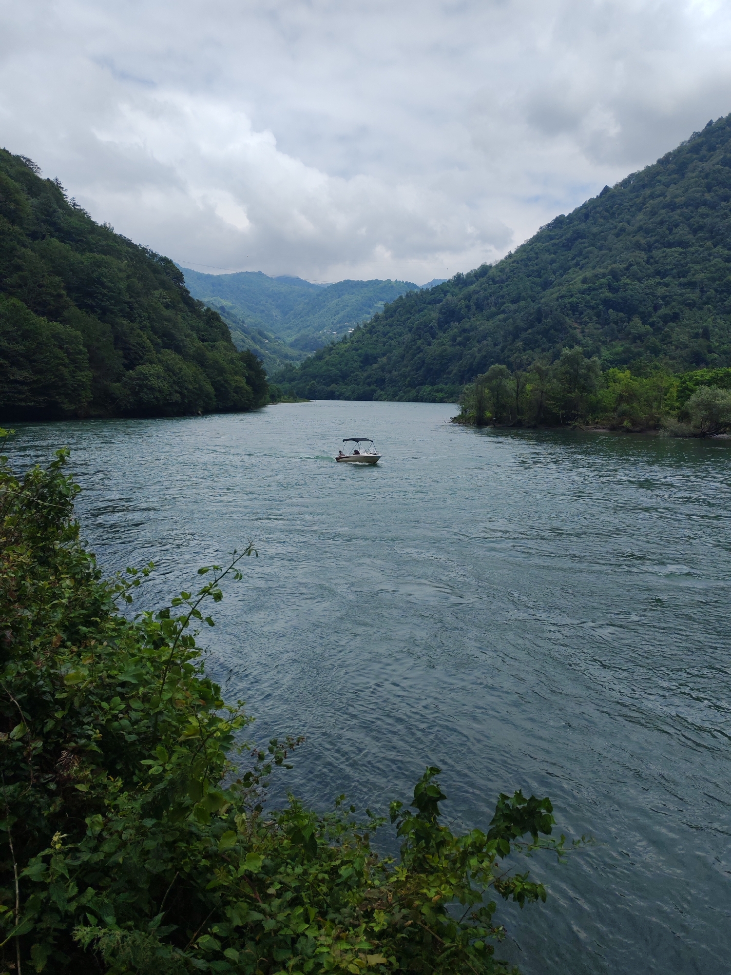 A medium-sized, light-colored motorboat with a canopy is navigating a wide, calm river in Mirveti, Georgia. The river is flanked by steep, densely forested hills. The sky is overcast with dramatic, textured clouds. In the foreground, on the left side of the image, lush green foliage extends from the riverbank, partially obscuring the view. The river flows towards the background, where the hills recede into a hazy, mountainous landscape. The overall scene depicts a serene natural environment under a cloudy sky.