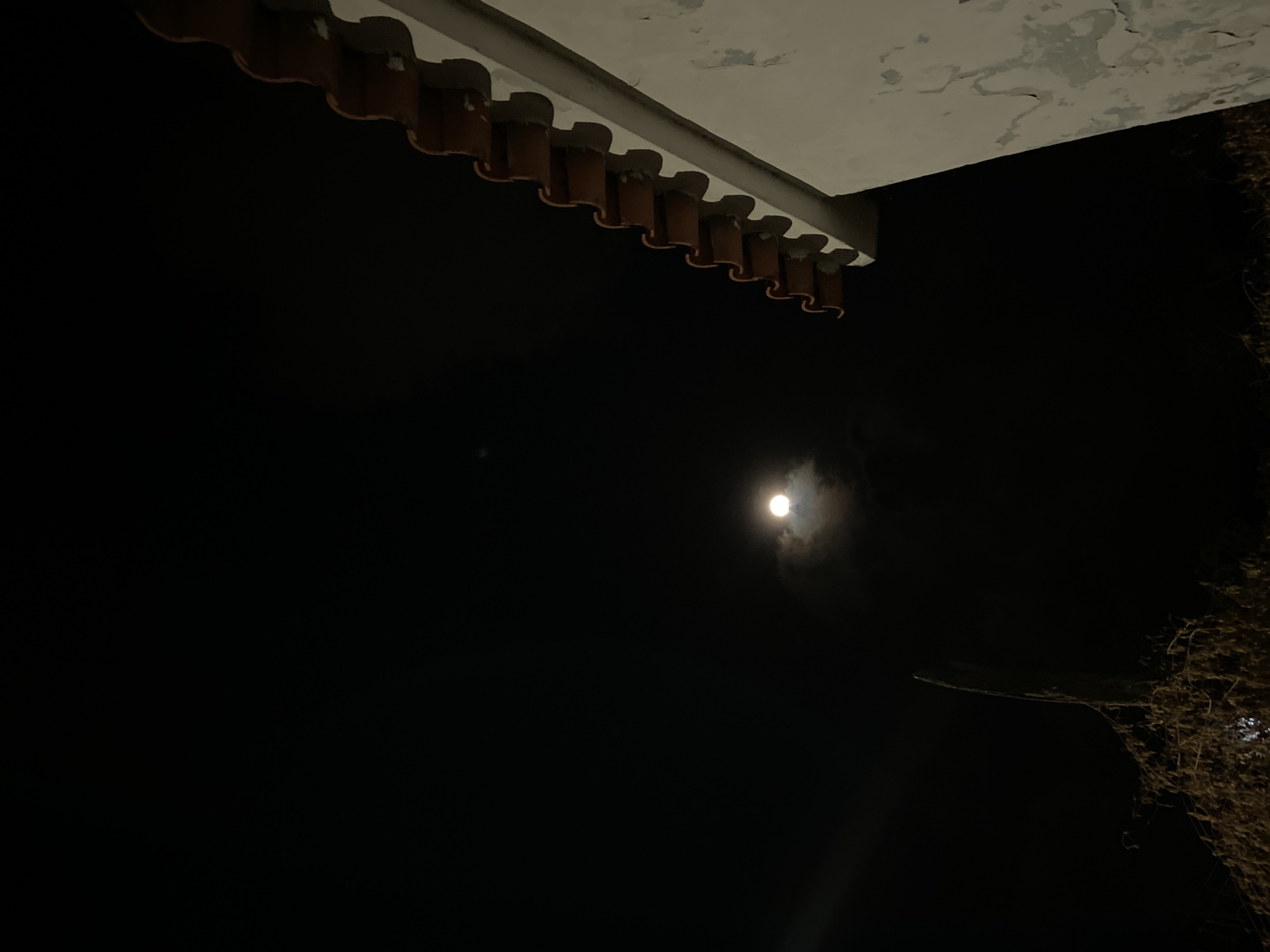 A night scene shows the moon positioned slightly right of the center, partially obscured by thin clouds. A building overhang with orange tiles along the edge is in the upper portion of the frame. To the right, wispy branches of a plant extend into the frame. The location is Juan Griego, Venezuela, though there is no other indication of location besides the request.