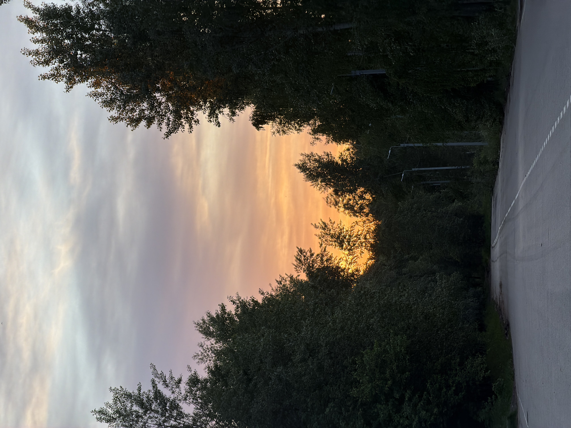 The image depicts a road in Chaikovsky, Russia, flanked by trees. The sky visible between the trees shows a sunset with orange and pink hues. Utility poles are visible among the trees on the right side of the road. The road itself is gray with white lines marking the edge. There are no people visible in the image.