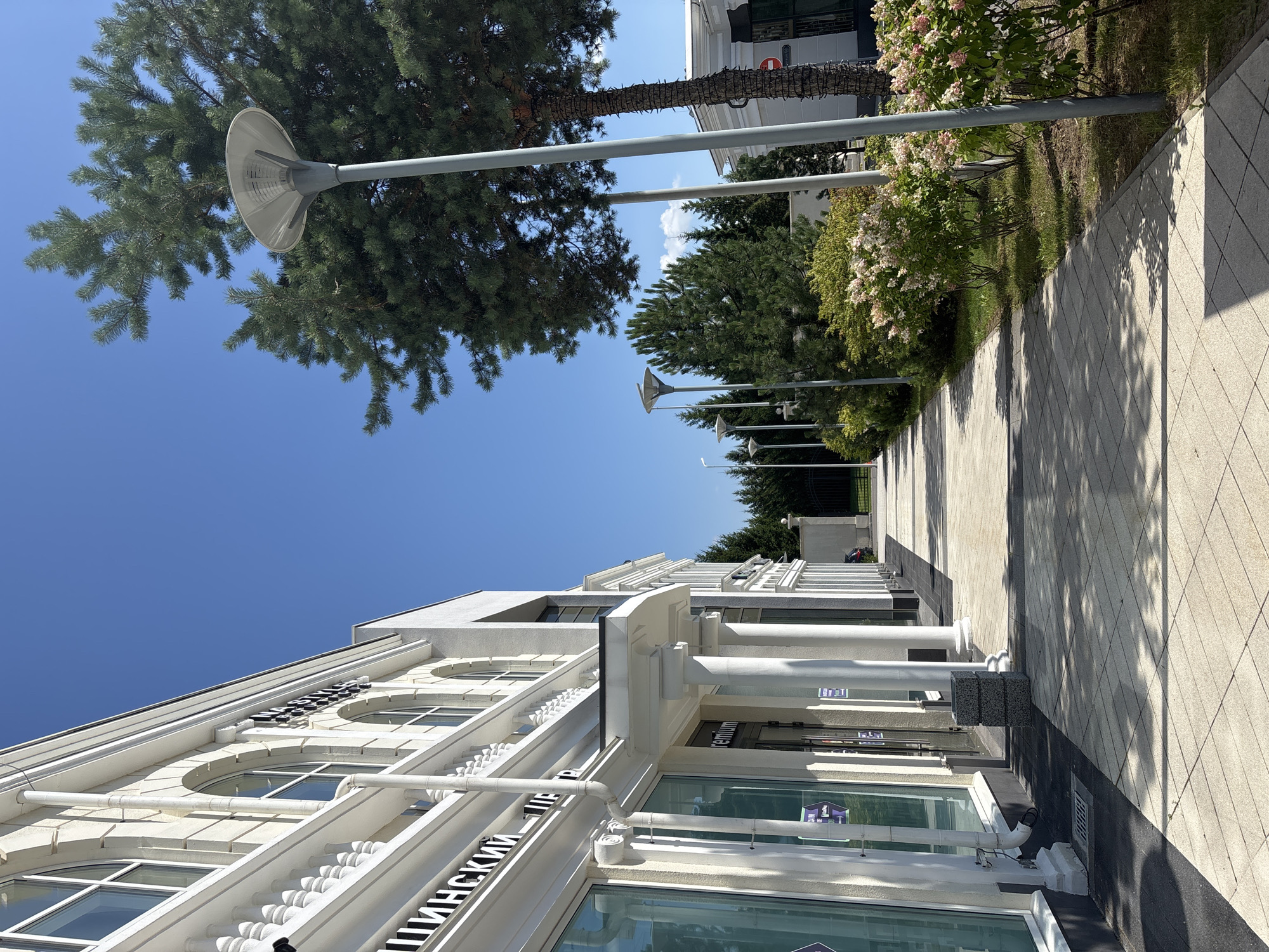 A paved walkway runs alongside a modern building with arched windows and ornate white trim. The building has large glass storefronts. A tall pine tree stands to the right of the walkway, with a modern street lamp in front of it. A line of smaller trees and flowering bushes borders the other side of the walkway, with more street lamps visible in the distance. The sky is clear and blue. The scene appears to be a commercial or public area within Millennium Park, Russia, on a sunny day.