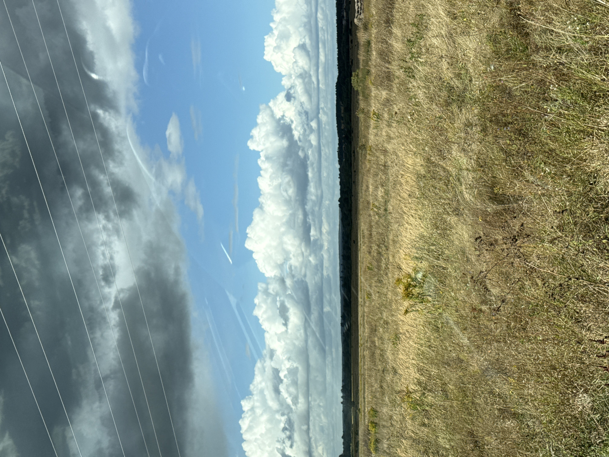 The image depicts a wide, dry grassy field under a dramatic sky. In the foreground, tall, golden-brown grasses dominate, with some scattered green vegetation and small yellow wildflowers. The middle ground shows a darker band of trees and foliage forming a horizon line, with hints of a distant landscape beyond. The sky is a mix of bright blue and dark, heavy clouds. Several thin, white contrails are visible across the sky, suggesting air traffic. Four horizontal, thin, white lines are also present in the upper portion of the image, likely power lines. The overall impression is of a rural or semi-rural landscape, possibly during an overcast day with breaks of sunlight. The location is specified as Fominka, Russia.