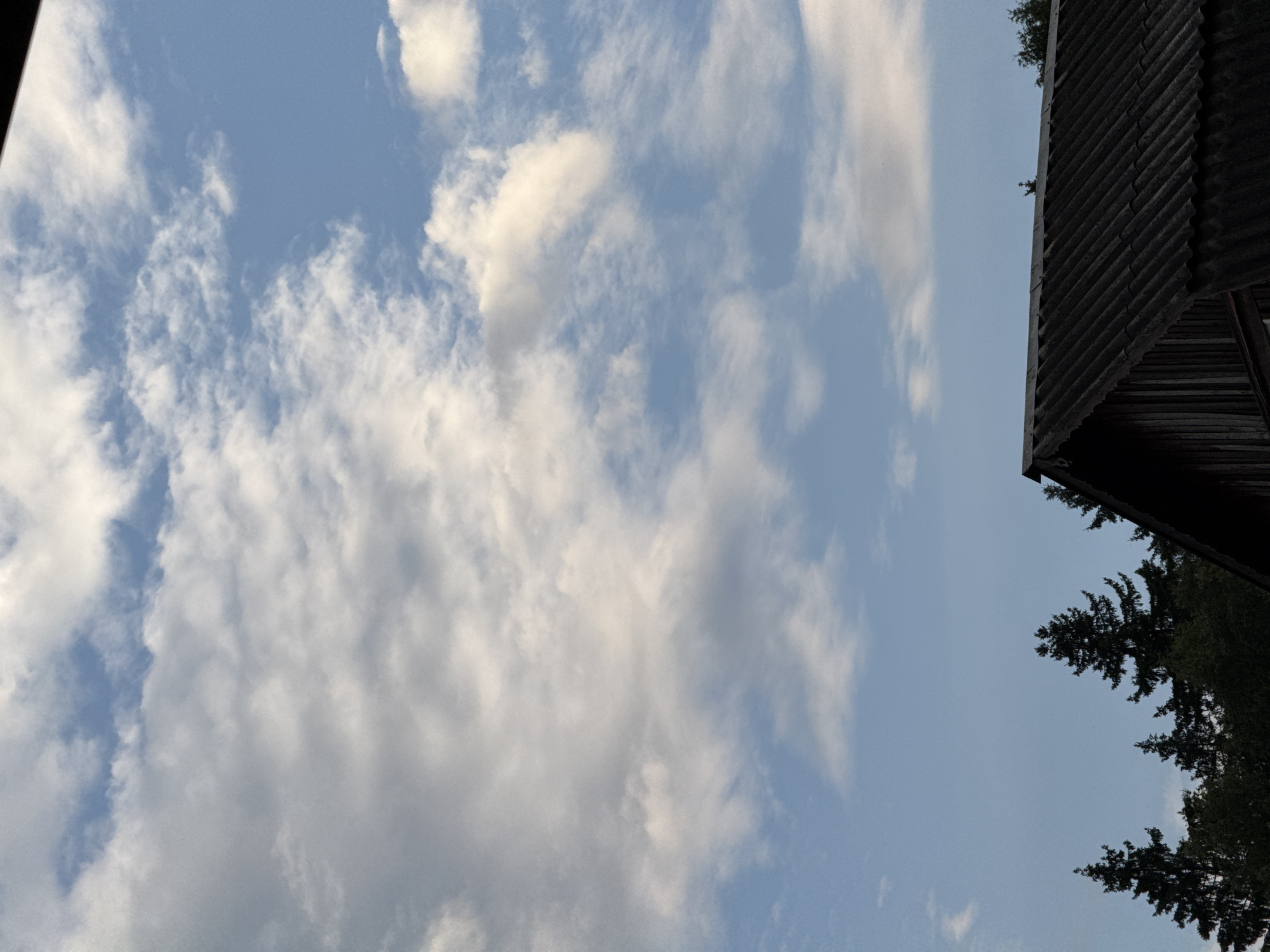 This media file captures a view of a pale blue sky with scattered, fluffy white clouds. The image is oriented vertically, with the top of the frame showing a dark, corrugated roofline that angles down the right side of the image. Below and to the right of the roof, the dark green silhouettes of pine trees are visible against the sky. The time of day appears to be late afternoon or early evening, given the soft lighting and the color of the sky. The overall scene suggests an outdoor setting in a natural or rural environment, possibly a dacha or a cabin. There is no discernible text in the image.