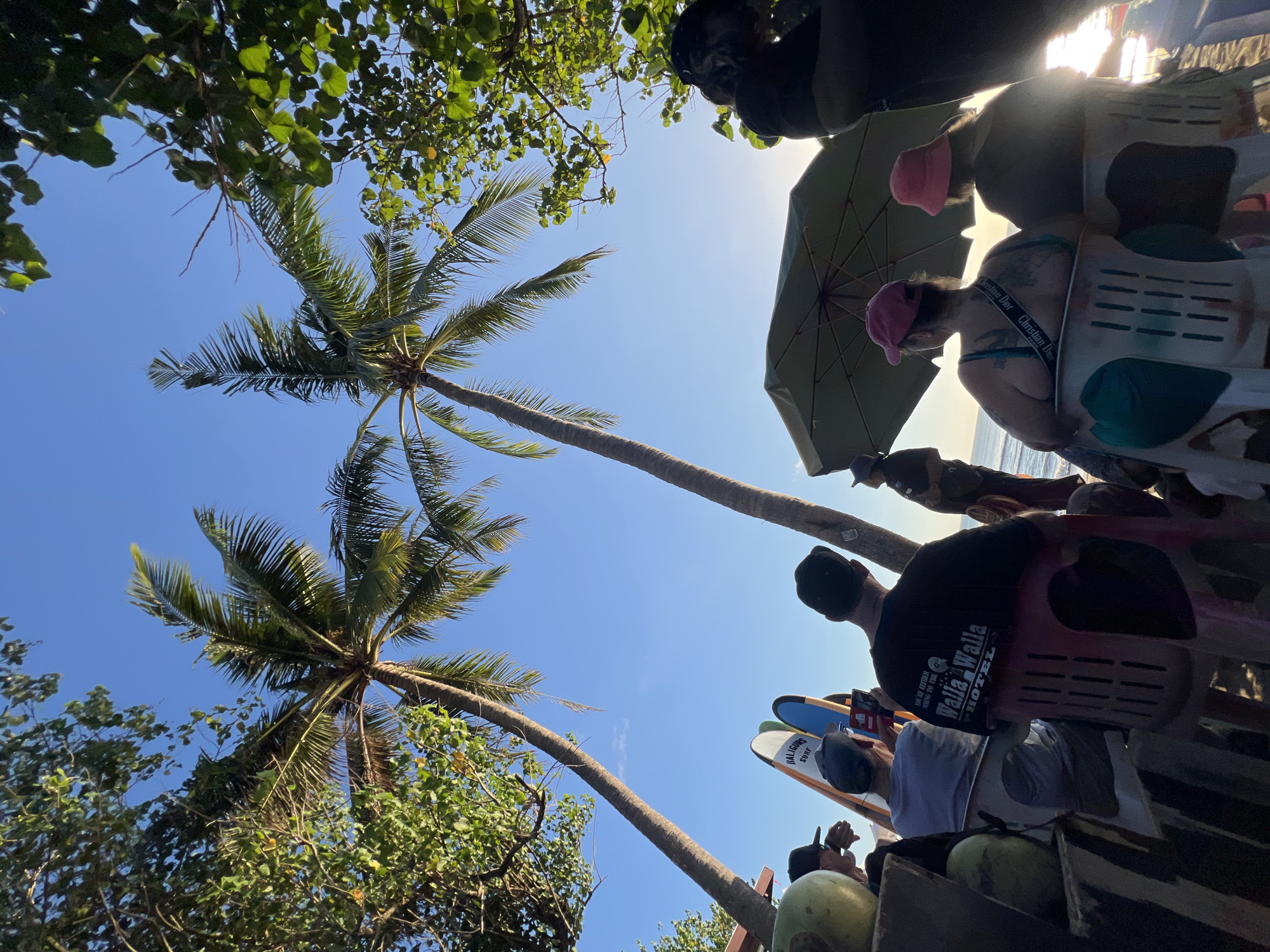 The image depicts a beach scene in Kuta, Indonesia, with two prominent palm trees against a clear blue sky. In the foreground, several people are seated, facing away from the camera towards the ocean. Two of them are wearing pink hats, and one is wearing a green top. To the left, there are surfboards leaning against a structure, and a person in a black t-shirt with "Walla Walla Hotel" written on it is seated. To the far left, a large green coconut is visible. In the background, a beach umbrella is open, and the sun is setting over the ocean. The overall atmosphere suggests a relaxed beach gathering.