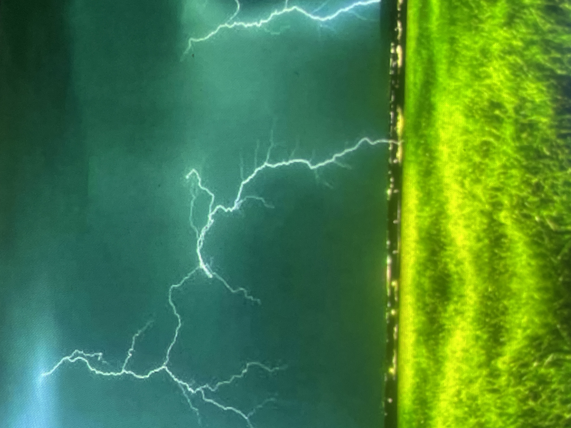 This image depicts a stormy twilight or nighttime scene over a landscape located in Zelenyi Hai, Ukraine. The upper portion of the frame is dominated by a dark, deep teal-green sky, indicative of heavy cloud cover during a thunderstorm. Multiple prominent, bright white-to-light blue lightning bolts are captured across the sky, with at least five distinct, branching strikes visible, illuminating portions of the dark clouds. Along the horizon, a thin, blurred band of diffused yellow and white lights indicates the presence of a distant urban or residential area. The lower half of the image features an expansive field of intensely vibrant green grass, which appears somewhat textured and slightly blurred, suggesting either movement, a long exposure, or digital processing. No people, animals, or specific structures other than the distant lights are visible within the frame. The overall lighting is primarily provided by the lightning flashes and the distant artificial lights, creating a dramatic contrast with the dark sky and luminous green foreground.