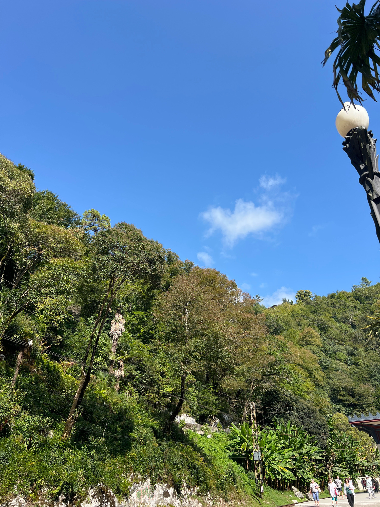 A low-angle, medium shot captures a lush, densely forested mountainside under a clear blue sky in New Athos, Abkhazia. The foliage is a vibrant mix of greens with hints of autumn brown on some trees, suggesting a temperate climate. A prominent, ornate street lamp with a spherical white light fixture stands in the upper right corner, partially obscuring the sky. Power lines are visible along the hillside, indicating human infrastructure within the natural landscape. At the base of the mountain, a paved pathway runs alongside a small cluster of banana trees. Several individuals, casually dressed, are walking along this pathway, their interactions and presence suggesting a public area. The ground features a rough-hewn stone embankment. The overall scene depicts a serene, natural environment integrated with elements of human activity.