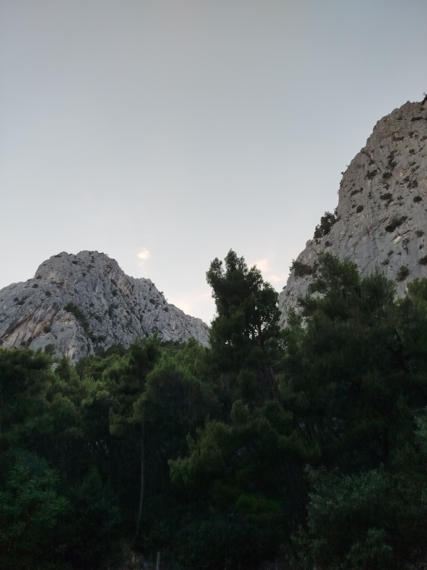 The image depicts a natural landscape featuring rocky mountains and a dense forest in the foreground. The sky above is a pale, overcast gray. On the left, a large, rugged mountain range dominates the middle ground, characterized by its rough, textured surface and steep inclines. To the right, another similar mountain peak is visible, though partially obscured by trees. A dense, dark green forest of coniferous trees occupies the lower half of the image, with the treetops reaching up towards the mountains. The overall scene suggests a remote, natural setting, likely in a mountainous region with significant vegetation. The image is taken from a low angle, looking up towards the mountains. There are no people or man-made structures visible in the frame. This landscape is consistent with the natural environment found around Omiš, Croatia, known for its dramatic coastal mountains and pine forests.