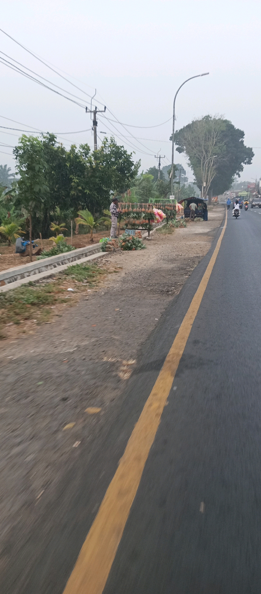 This image depicts a roadside fruit stand on a clear day, likely in or near Subang, Indonesia. The scene captures a section of a paved road with a prominent yellow line marking the lane. On the left side of the road, a man stands next to a display of pineapples arranged on racks and in piles on the ground. Another person is partially visible near a vehicle. The stand appears to be situated on a gravelly shoulder adjacent to a grassy area with some young palm trees and other vegetation. In the background, there are power lines, a tall street lamp, and a large, leafy tree. Further down the road, several vehicles, including motorcycles and cars, are traveling. The overall atmosphere suggests a rural or semi-rural setting with local commerce.