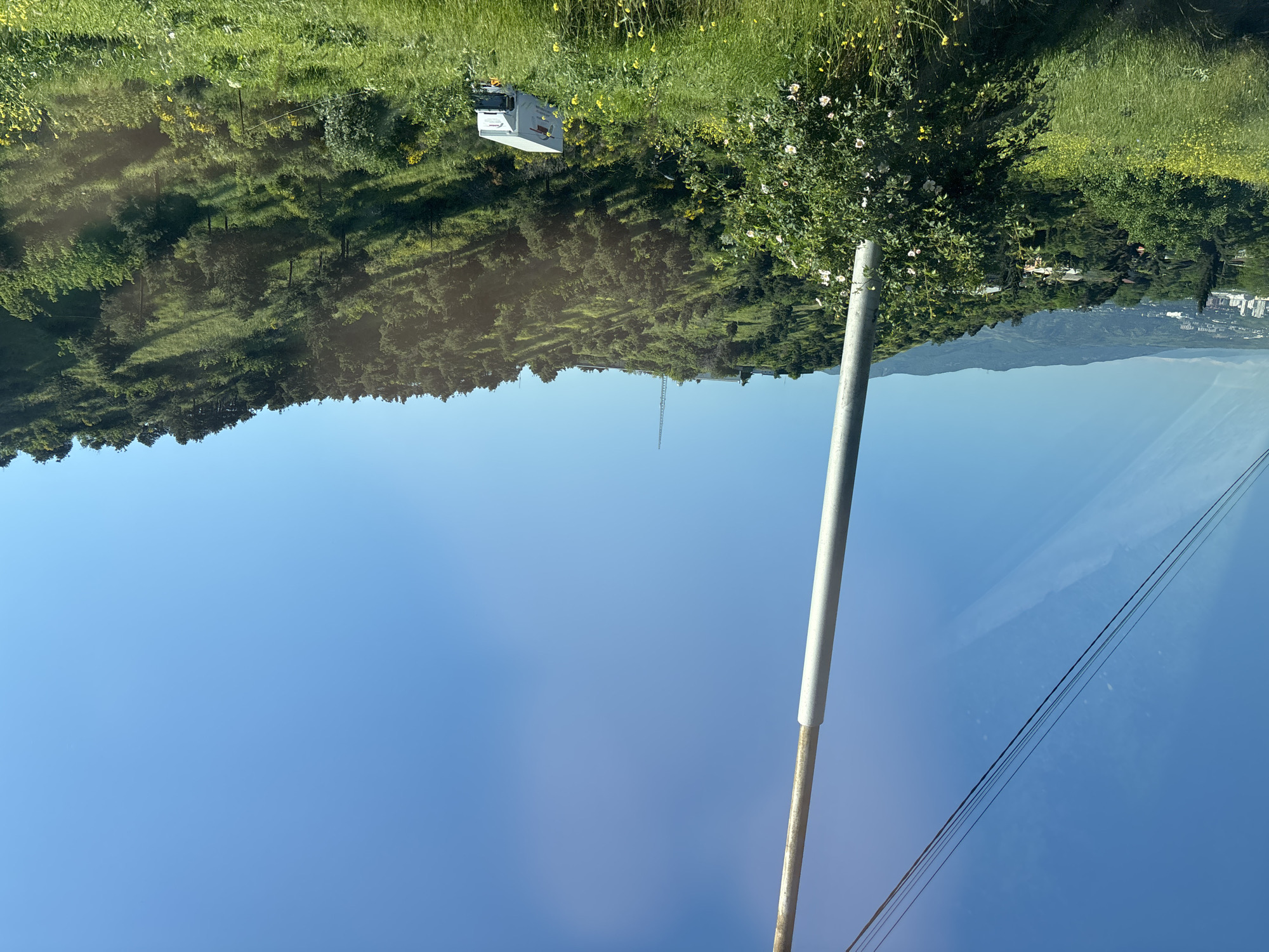 The image depicts a landscape in Tbilisi, Georgia, observed from a high vantage point, likely a window. The sky is a clear blue. In the middle ground, there is a tree or bush with white flowers. To the left, a grassy hillside slopes down toward a dense forest. In the grass near the forest, a white vehicle, possibly a camper van or work truck, is visible. In the distance, a hazy mountain range is visible, and some buildings. In the foreground, there is a metal pole and a set of power lines. The image appears to be taken through a window, due to reflections.