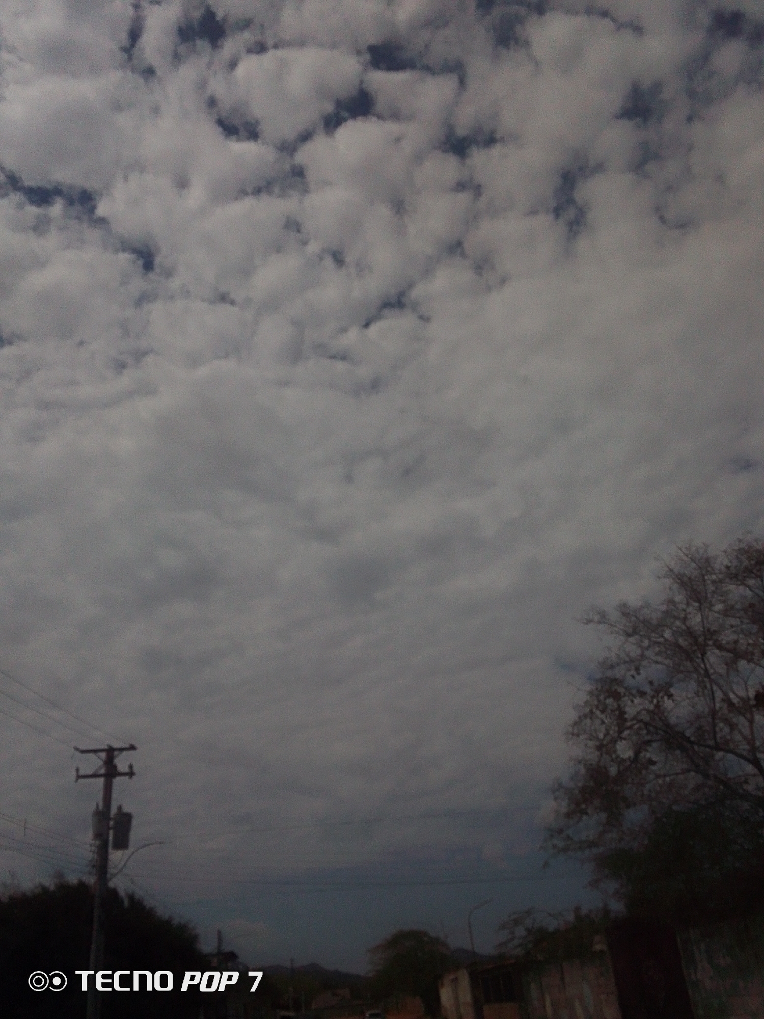 The image presents a landscape view predominantly composed of a heavily overcast sky, covering the upper two-thirds of the frame. The sky is filled with dense, textured grey clouds, likely stratocumulus or altocumulus, with small patches of darker blue hinting at deeper sky behind the cloud layers. The bottom third of the image depicts a street-level scene under low light.
On the left side, a prominent wooden utility pole with a transformer and multiple power lines extends upwards. Dark, sparse tree branches, possibly from a deciduous tree or indicating a dry season, are visible on the right side, intruding into the cloudy sky. Along the bottom edge, particularly on the right, there are indistinct dark structures or buildings partially obscured by vegetation and shadow. Further dark vegetation can be seen on the far left. No people or specific activities are visible.
The time of day appears to be either a heavily cloudy daytime or twilight, given the subdued lighting and lack of direct sunlight. The weather is characterized by the dense cloud cover, suggesting potential for rain or a recently passed weather event. The scene depicts a semi-urban or rural setting, consistent with its location context of Altagracia, Venezuela. The overall mood conveyed by the grey tones and low light is calm or contemplative.
A visible watermark in the bottom left corner displays a logo resembling two circles followed by the text "TECNO POP 7".
