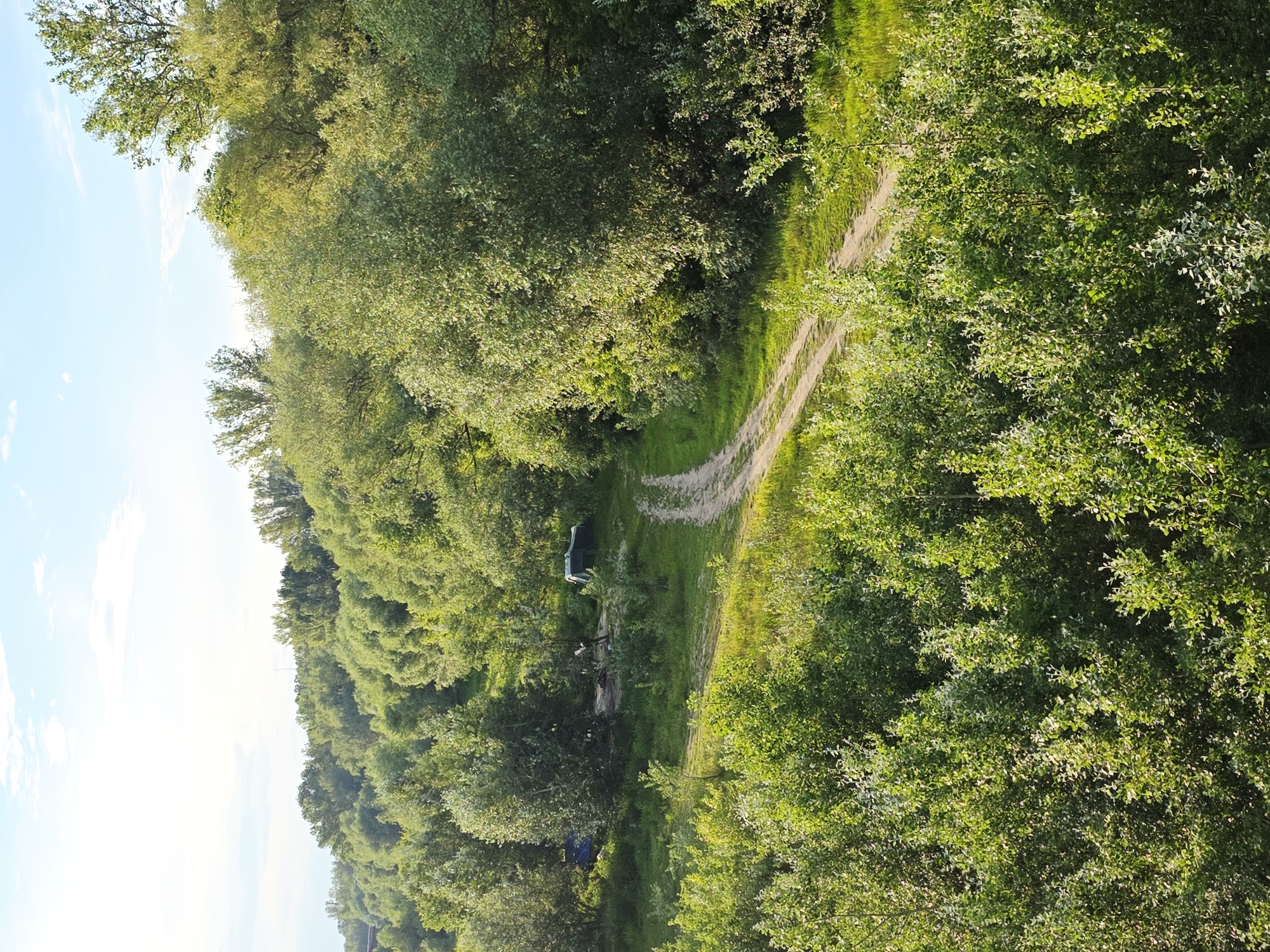 The image depicts a serene natural landscape with a dirt road winding through a densely wooded area. The trees are lush and green, suggesting a temperate climate, likely during the warmer months. In the mid-ground, several tents are visible, indicating a campsite or recreational area. There are no people explicitly visible in the frame. The sky is partly cloudy, with the sun casting a warm light on the scene, implying it is either morning or late afternoon. The location is identified as Warsaw, Poland, specifically within a park or natural reserve area characterized by its extensive vegetation and trails.
