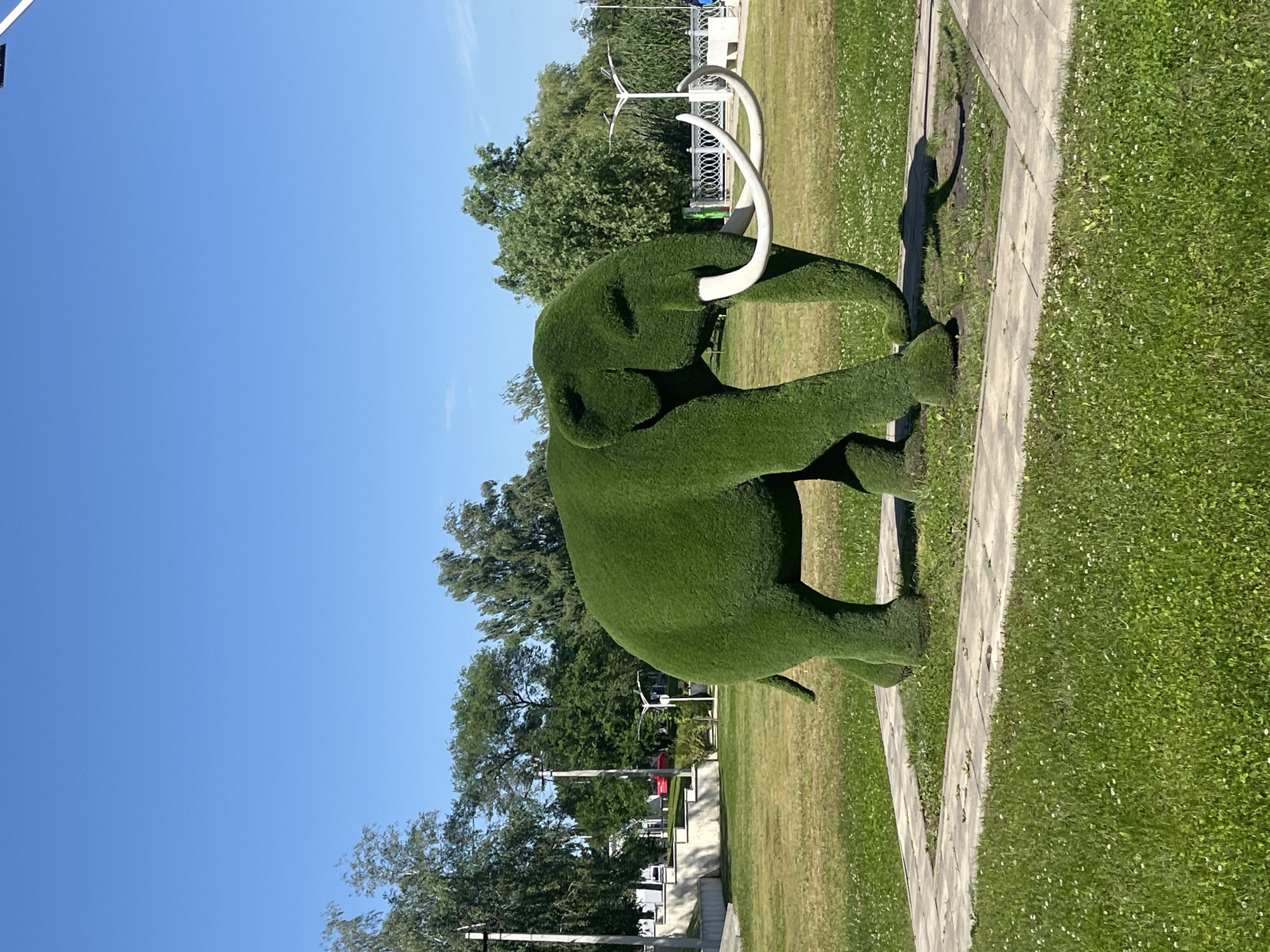 The image shows a topiary sculpture of a woolly mammoth in the city of Goryachiy Klyuch, Russia. The sculpture is made of green plants and features white tusks. It is located on a grassy area next to a sidewalk, with trees and a clear blue sky in the background. There are no people visible in the frame.