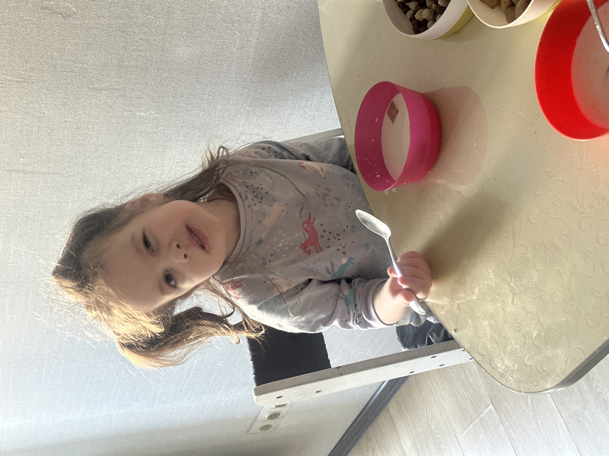 A young girl with long brown hair in pigtails sits at a table. She wears a gray long-sleeved shirt with a pattern of animals. She holds a spoon in her right hand. On the table, there is a pink bowl with milk, along with other bowls containing what appear to be cereal. The table has a beige patterned surface. The location is indicated as Tomilino, Russia, but nothing in the image confirms this information.