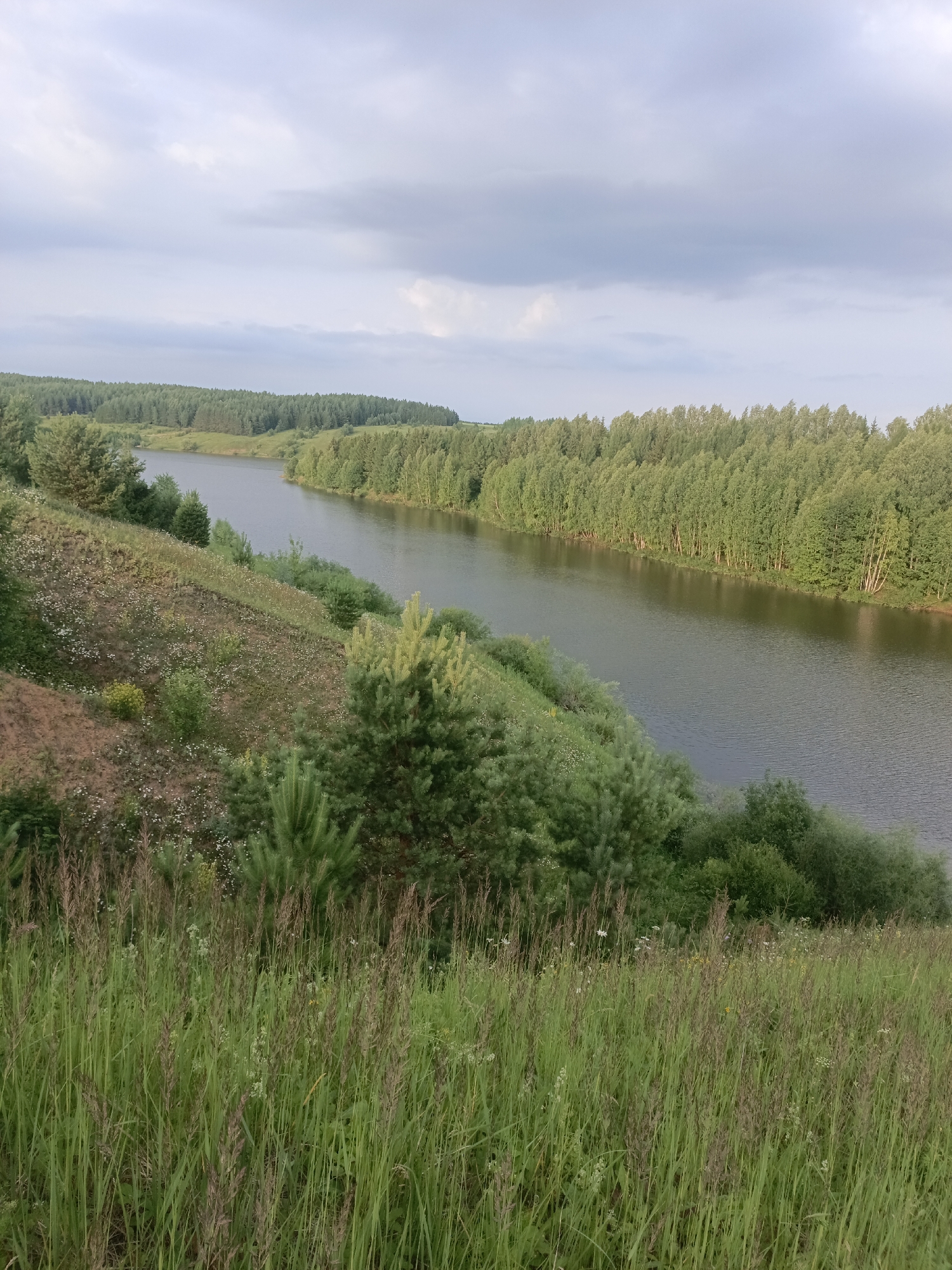 The image depicts a serene natural landscape, likely located in or near the village of Bogatye Saby, Russia. The scene features a wide, calm river flowing through a valley. The riverbanks are lined with dense, green forests dominated by deciduous trees, with some coniferous trees interspersed. The foreground of the image is a grassy slope with tall grasses and scattered wildflowers, suggesting a meadow or hillside overlooking the river. The sky is partly cloudy, with soft gray clouds against a lighter sky, indicating it might be late afternoon or early evening. There are no people or man-made structures visible in the image, emphasizing the natural and undisturbed state of the environment.
