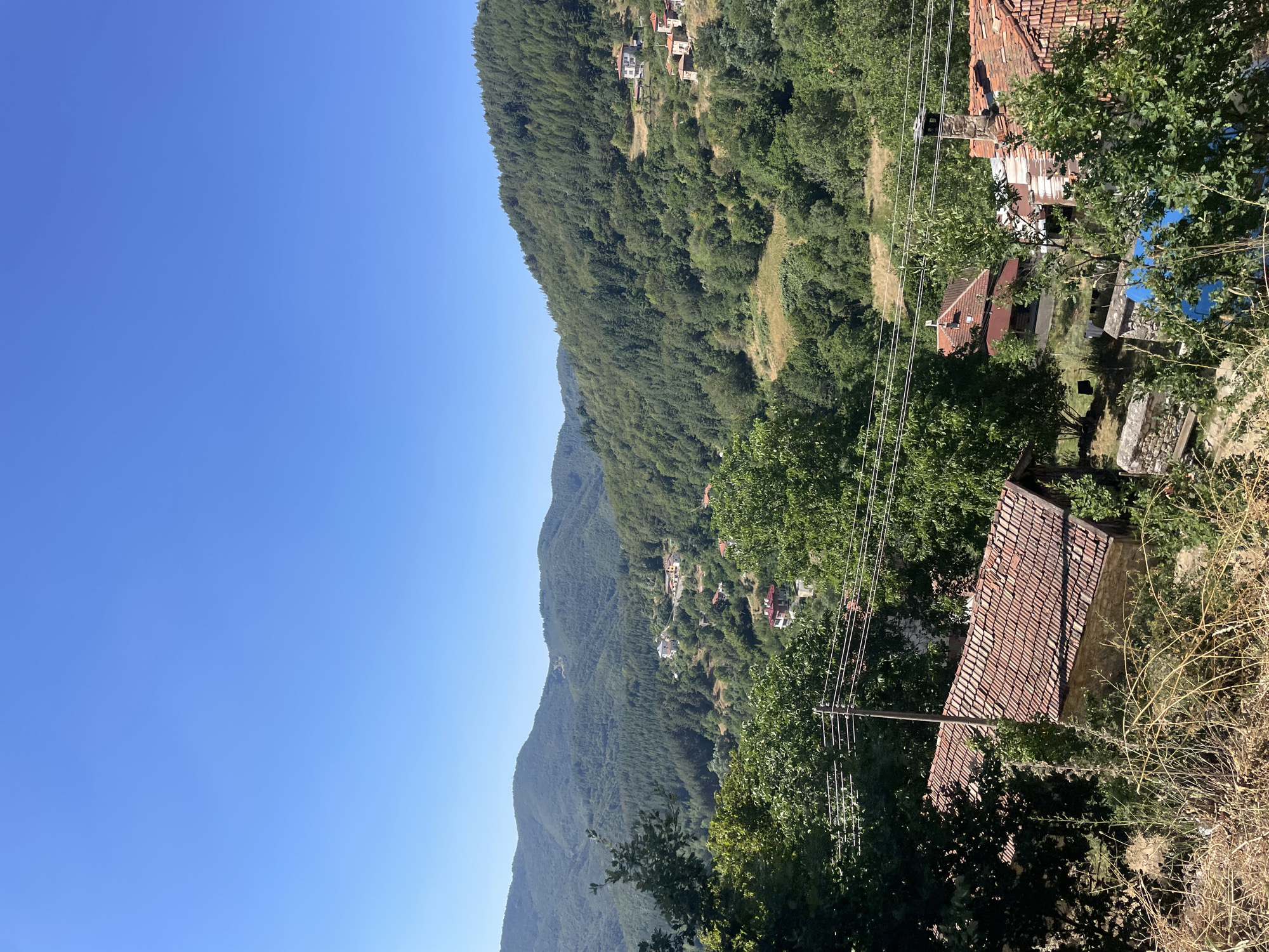 This is a photograph of a village nestled within a lush green mountainous landscape under a clear blue sky. The scene is dominated by rolling hills covered in dense, dark green conifer trees. Scattered throughout the hillsides are clusters of houses with red-tiled roofs, indicating a rural settlement. In the foreground, there are more trees and the roofs of a few buildings, suggesting a viewpoint from a slightly elevated position looking down into the village and across the valley. The presence of power lines and a utility pole further hints at a lived-in, inhabited area. The overall impression is one of a serene, traditional village in a natural, undeveloped setting, likely in the Bulgarian countryside, possibly in or near the village of Davidkovo.