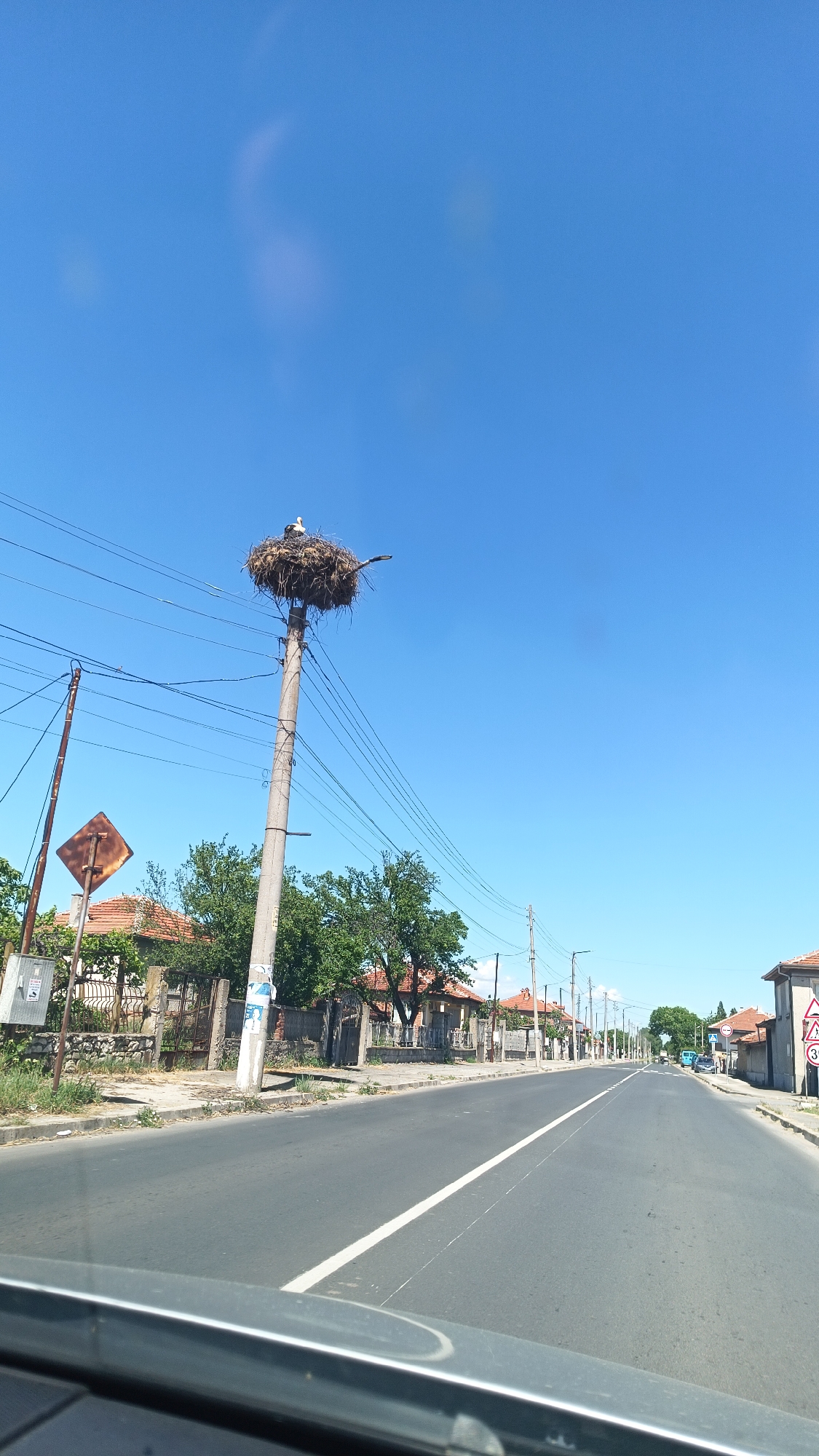 A photograph captures a straight asphalt road stretching into the distance under a clear, blue sky. The viewpoint is from within a vehicle, as indicated by the dashboard at the bottom. A white line marks the center of the road.
To the left and right of the road are single-story buildings with red-tiled roofs, indicative of residential properties. Utility poles run along both sides of the road, carrying electrical wires. One utility pole, prominently featured on the left, supports a large nest, possibly constructed by storks, with a bird visible within it. The scene is set in the city of Milevo, Bulgaria.