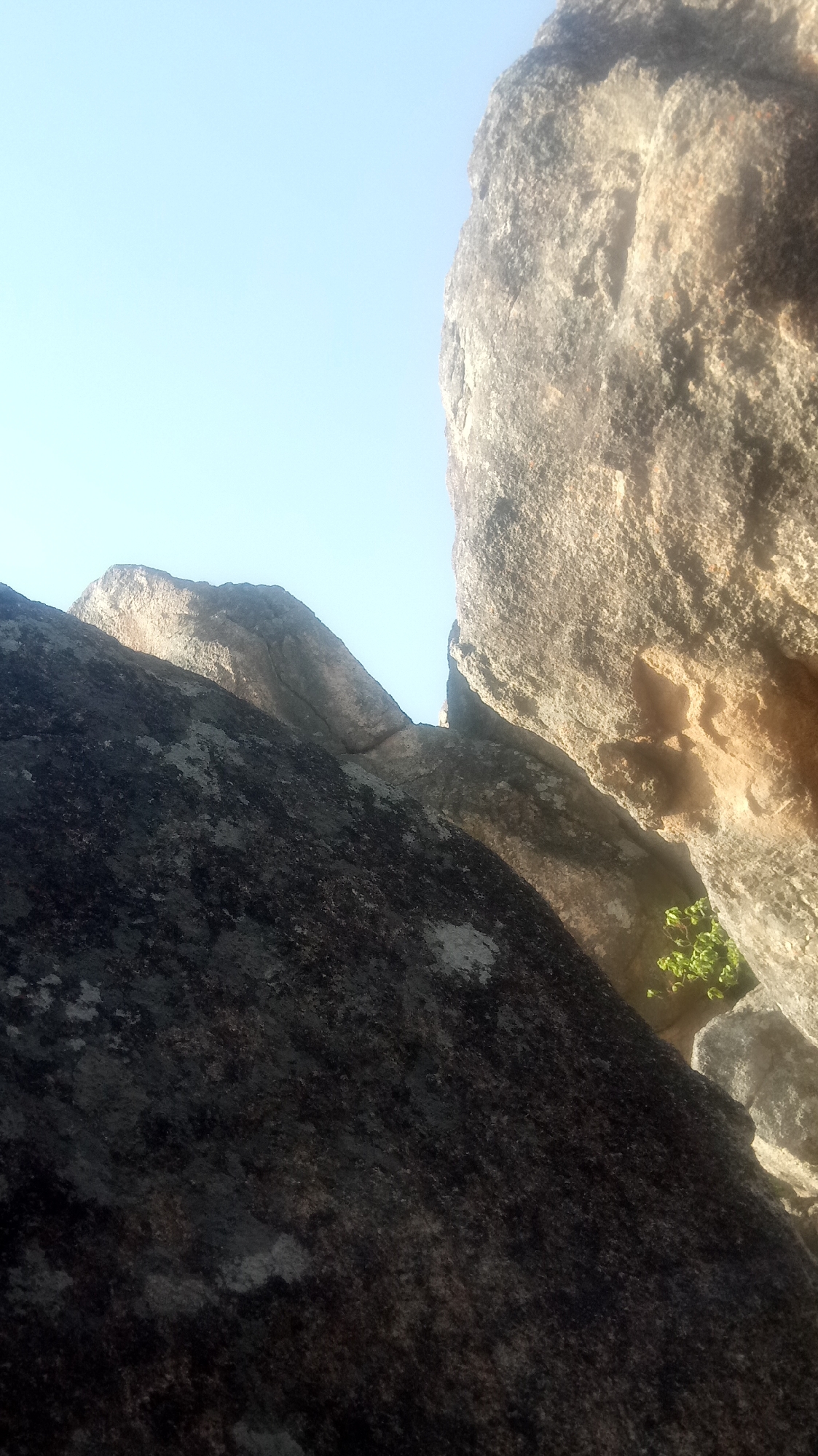 The image shows a view looking upwards between large, gray and tan rocks. The sky is visible in the upper left corner. Green foliage is visible between rocks on the right side of the image. The location is Unknown, Unknown.