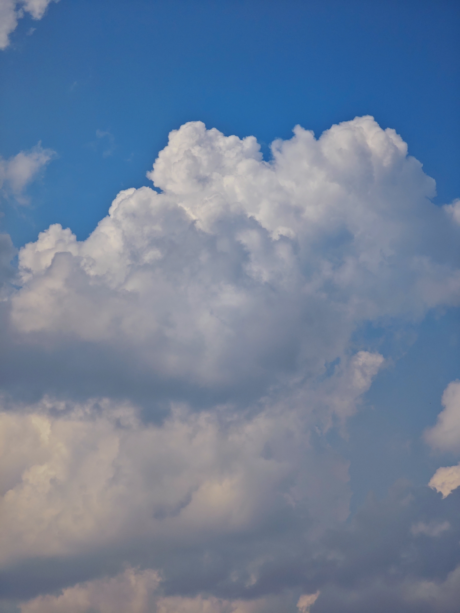 The image is a close-up of a bright blue sky filled with voluminous white and gray clouds. The clouds are varied in shape and texture, with some appearing fluffy and illuminated by the sun, while others are darker and more dense. The lighting suggests it is daytime, possibly late afternoon, given the warm tones present in some of the clouds. There are no discernible objects, people, or structures visible in the frame, and the image solely focuses on the atmospheric conditions. The location of Pogodaevo, Russia, is not ascertainable from the visual information provided in the image.