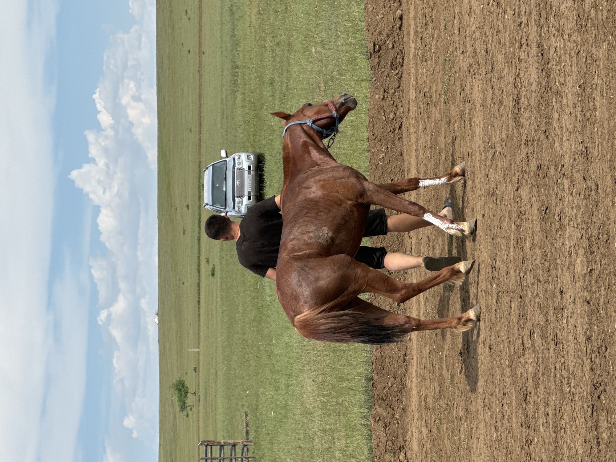 A brown horse with a dark mane and tail is being led by a man in a black t-shirt and black shorts. The horse has white markings on its hind legs. They are in a dirt arena with a grassy field in the background. A silver SUV is parked in the field. The sky is blue with white clouds. The scene is likely in Orongoi, Russia, a rural area known for its steppes and horse culture.